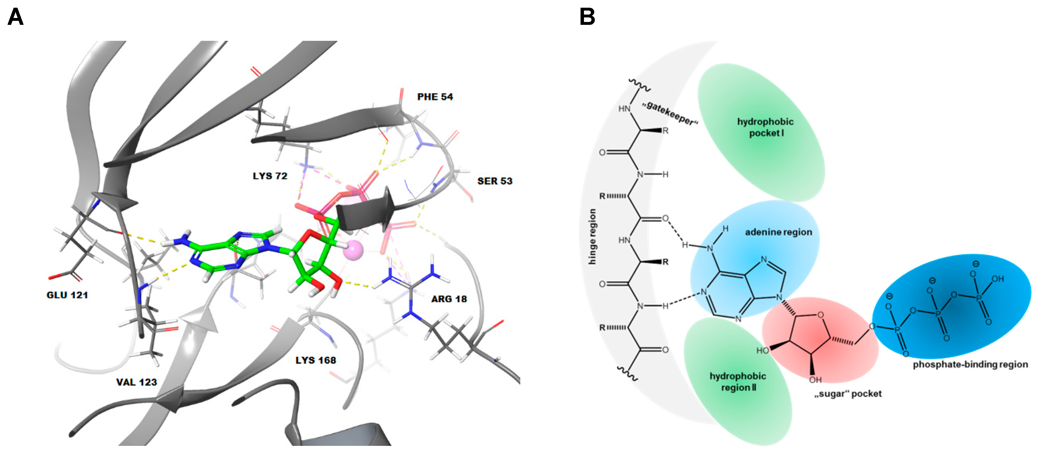 Molecules 24 00873 g001