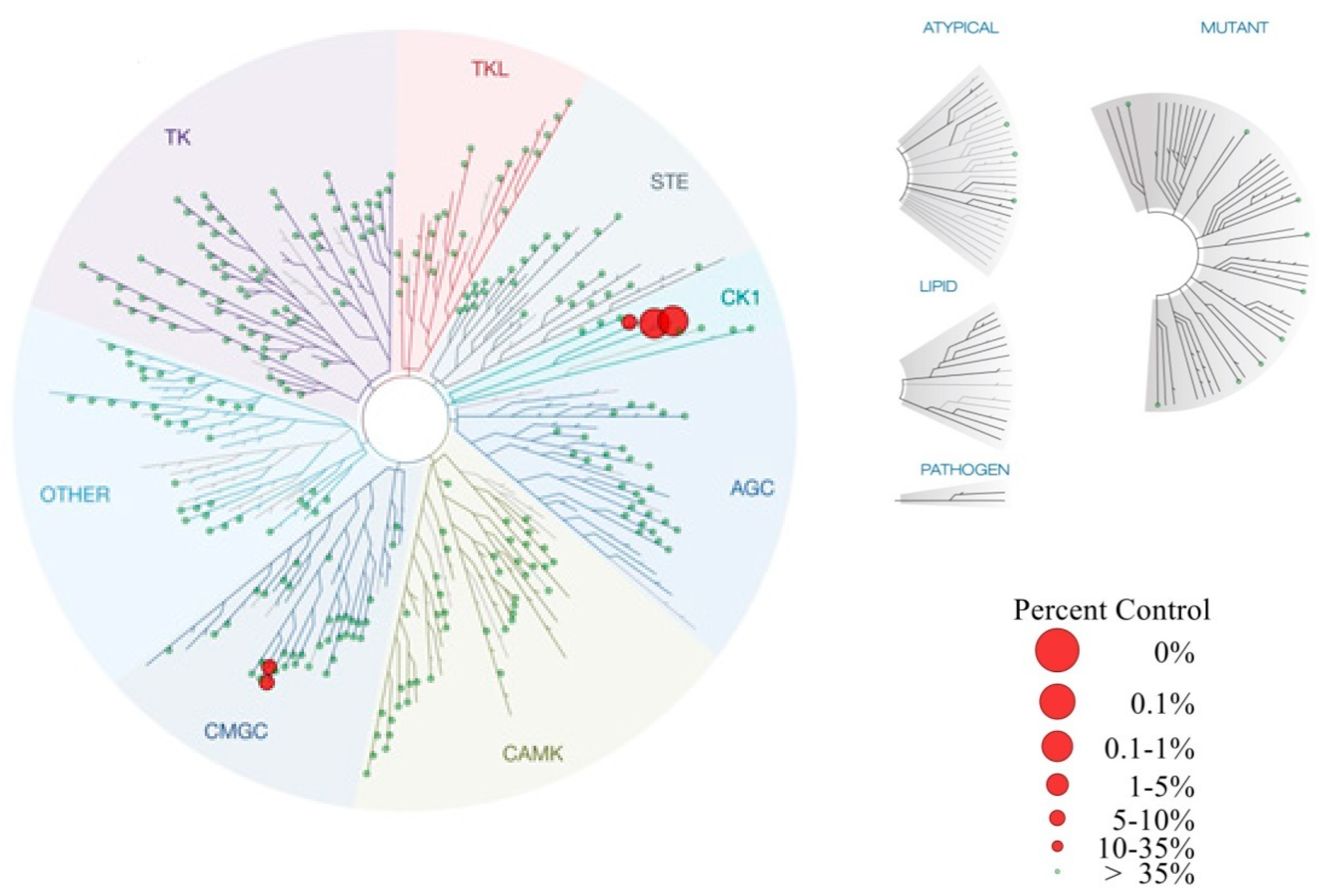 Molecules 24 00873 g005