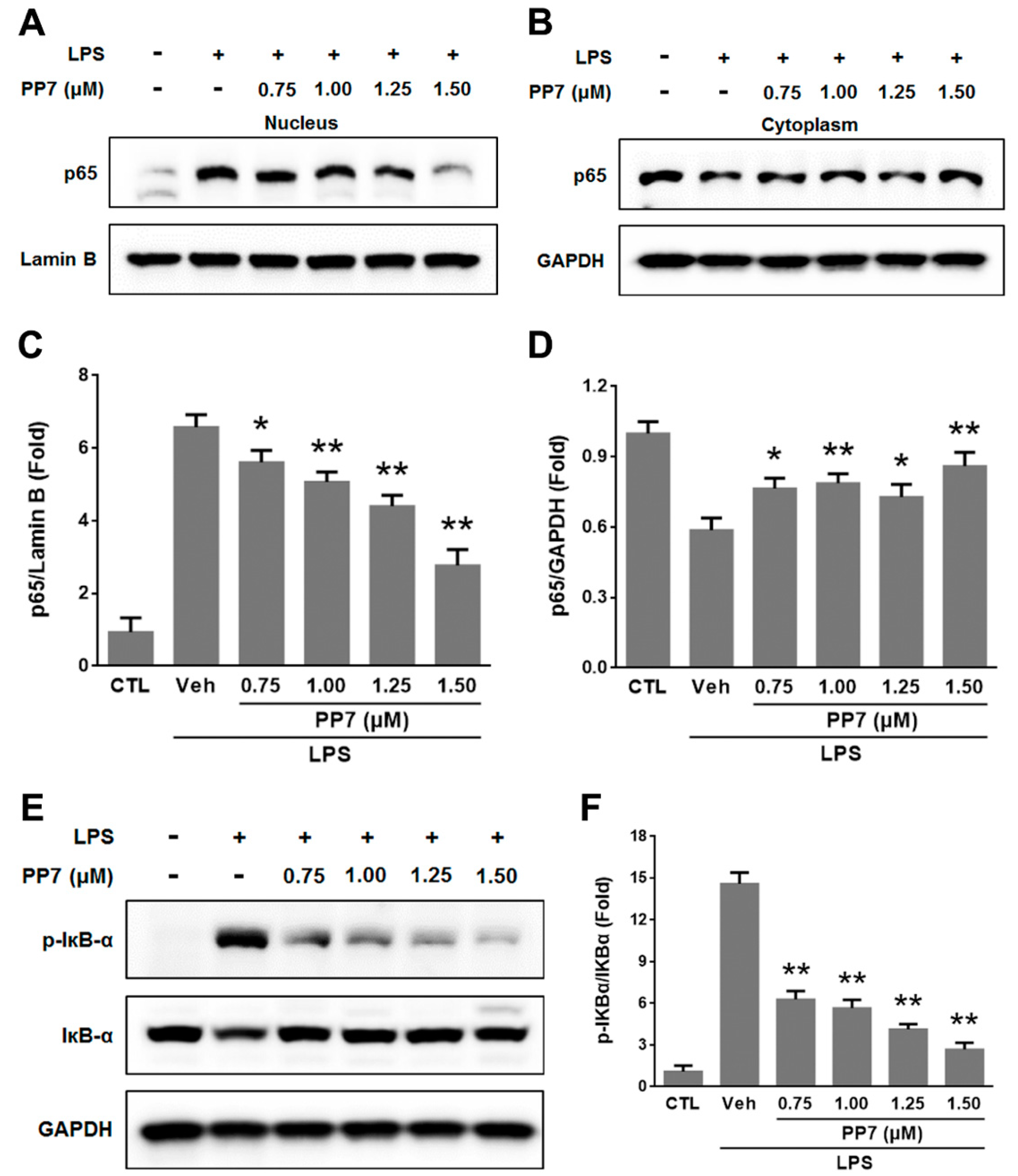 Molecules 24 00875 g003 Molecules 24 00875 g003