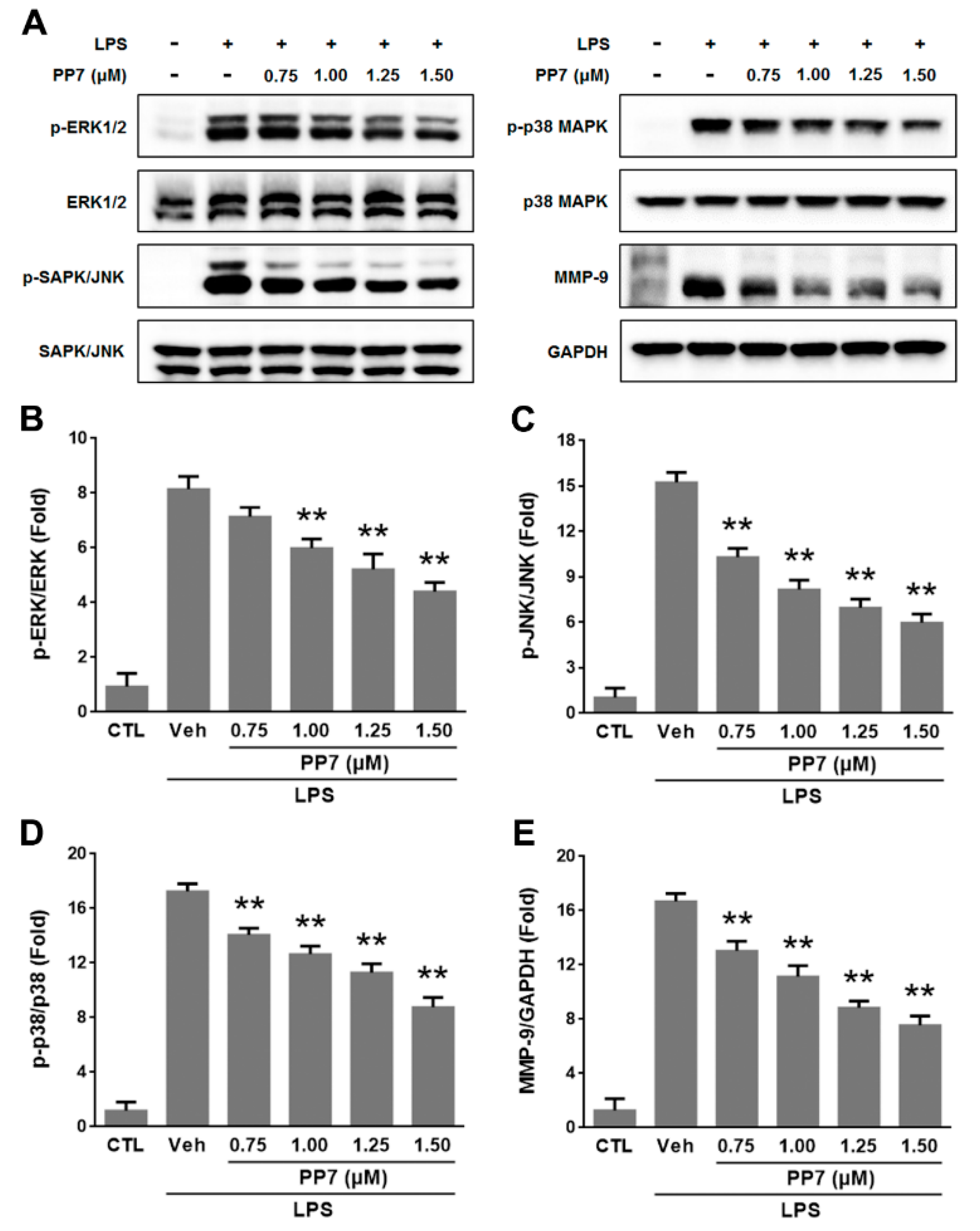 Molecules 24 00875 g004 Molecules 24 00875 g004