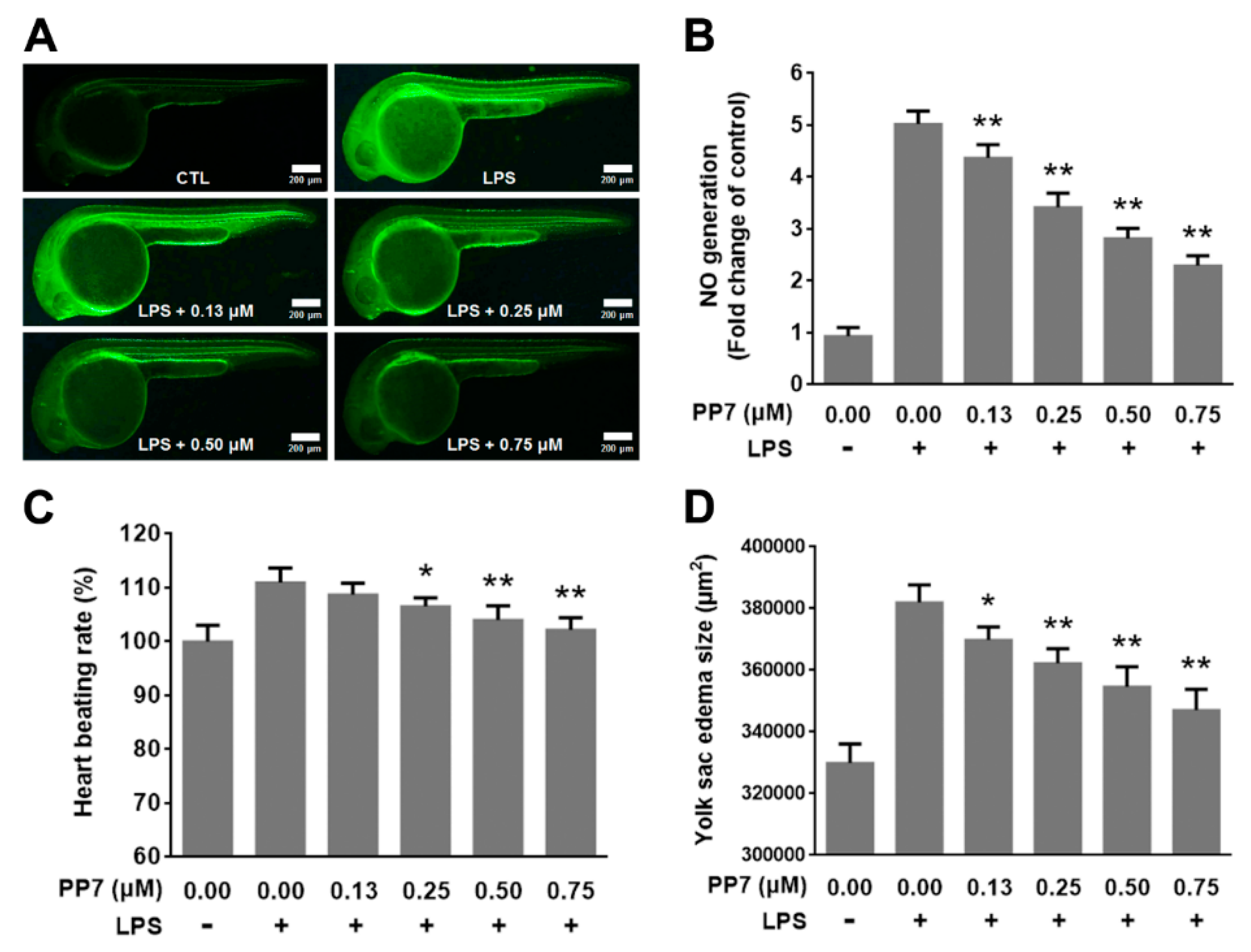 Molecules 24 00875 g005 Molecules 24 00875 g005
