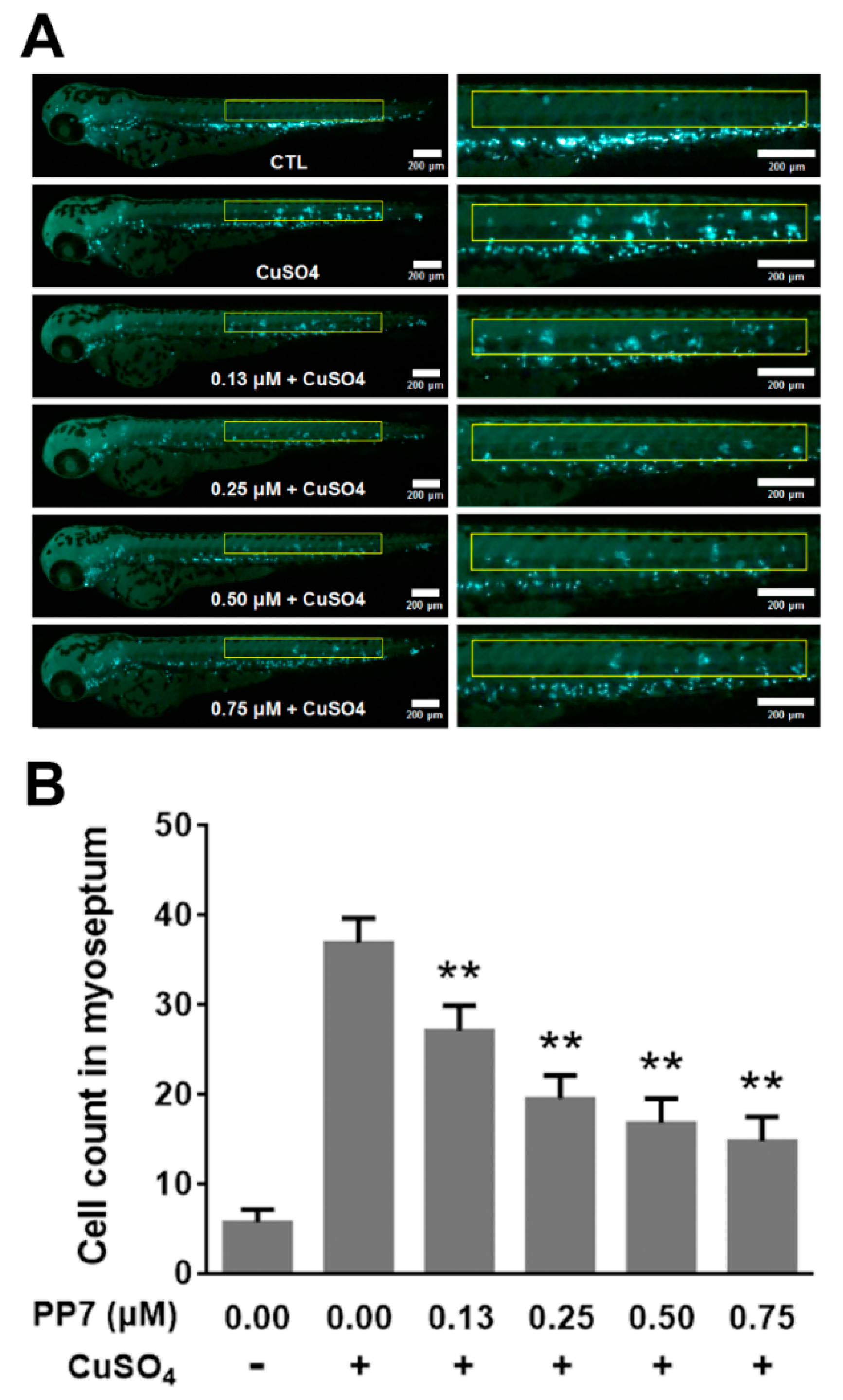 Molecules 24 00875 g006 Molecules 24 00875 g006