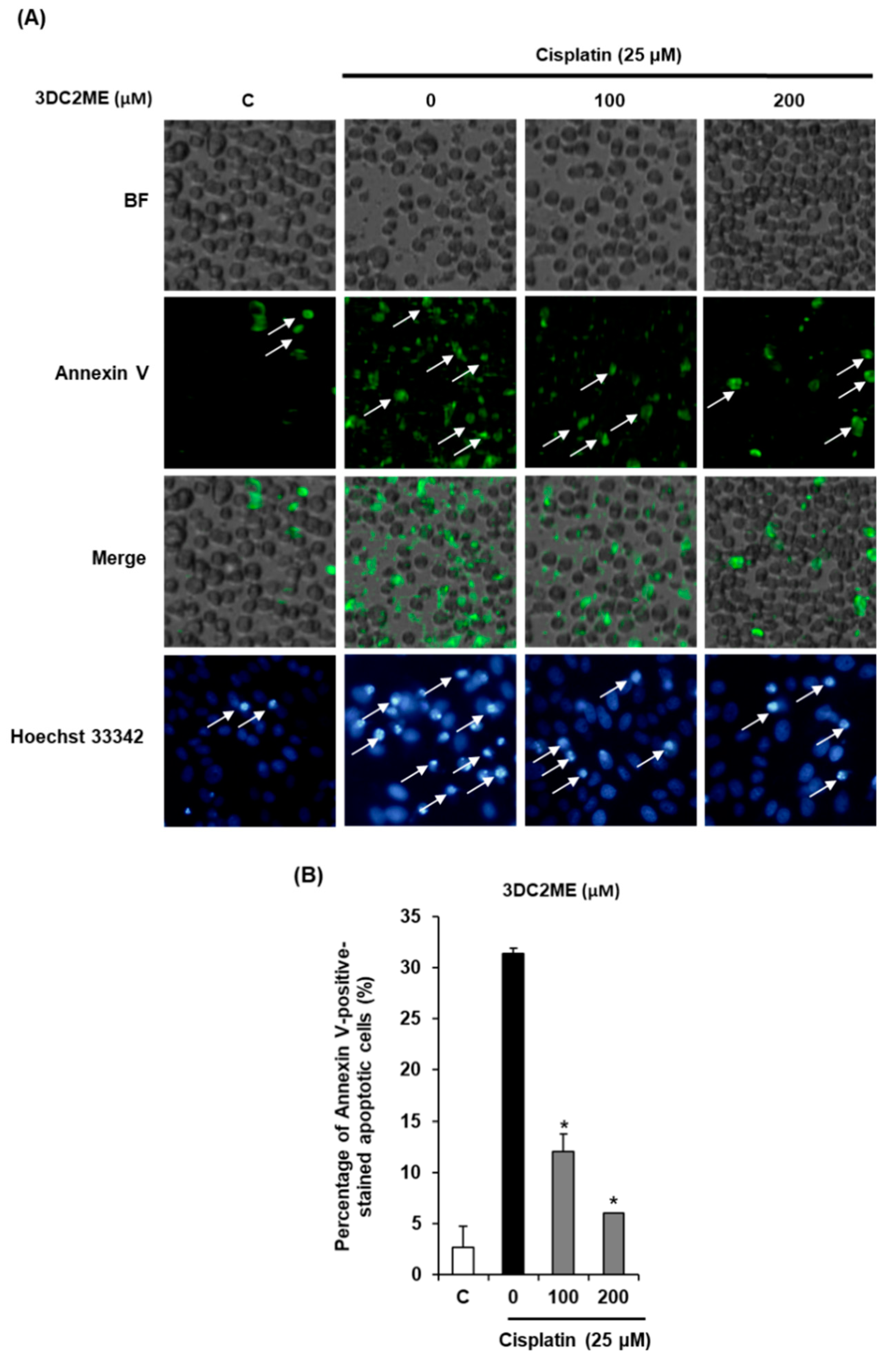 Molecules 24 00878 g002