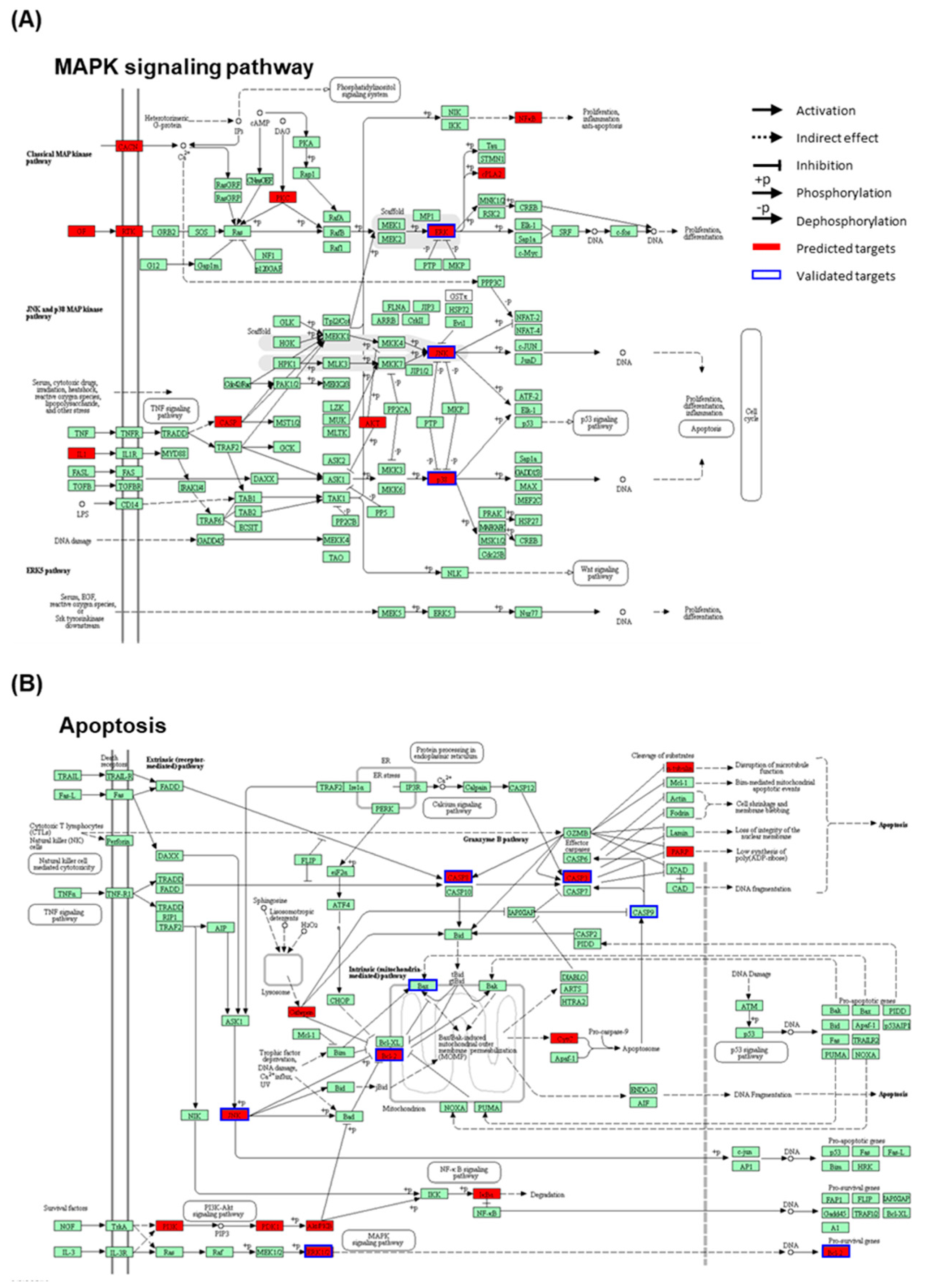 Molecules 24 00878 g008