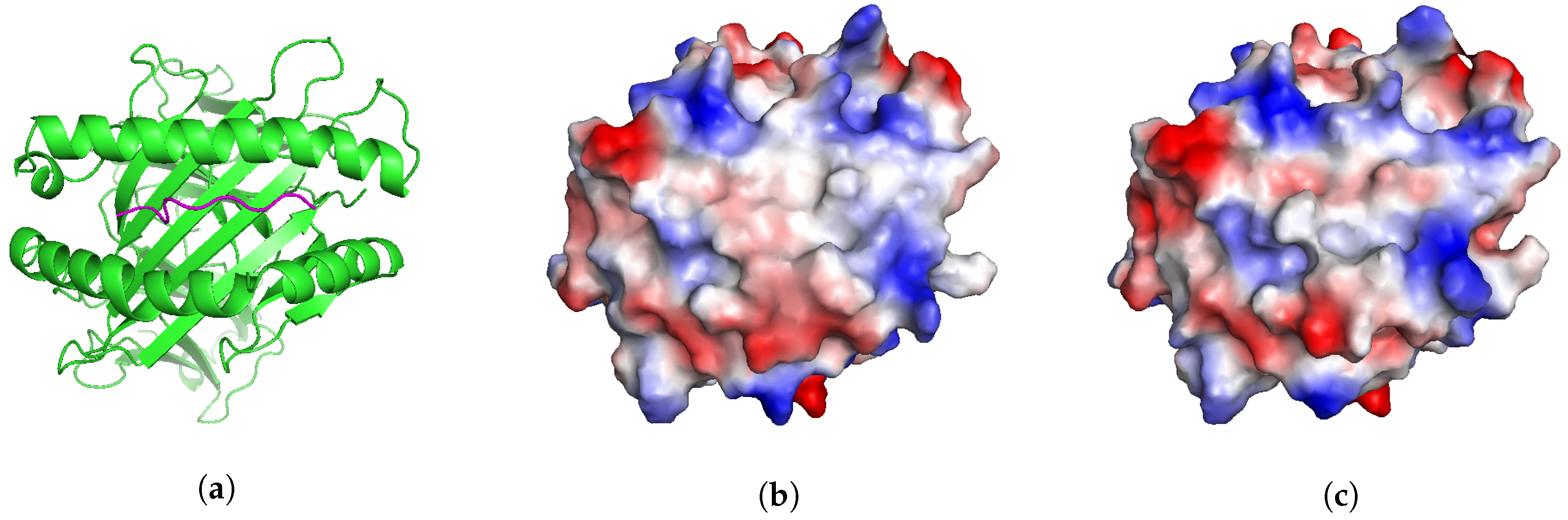 Molecules 24 00881 g003