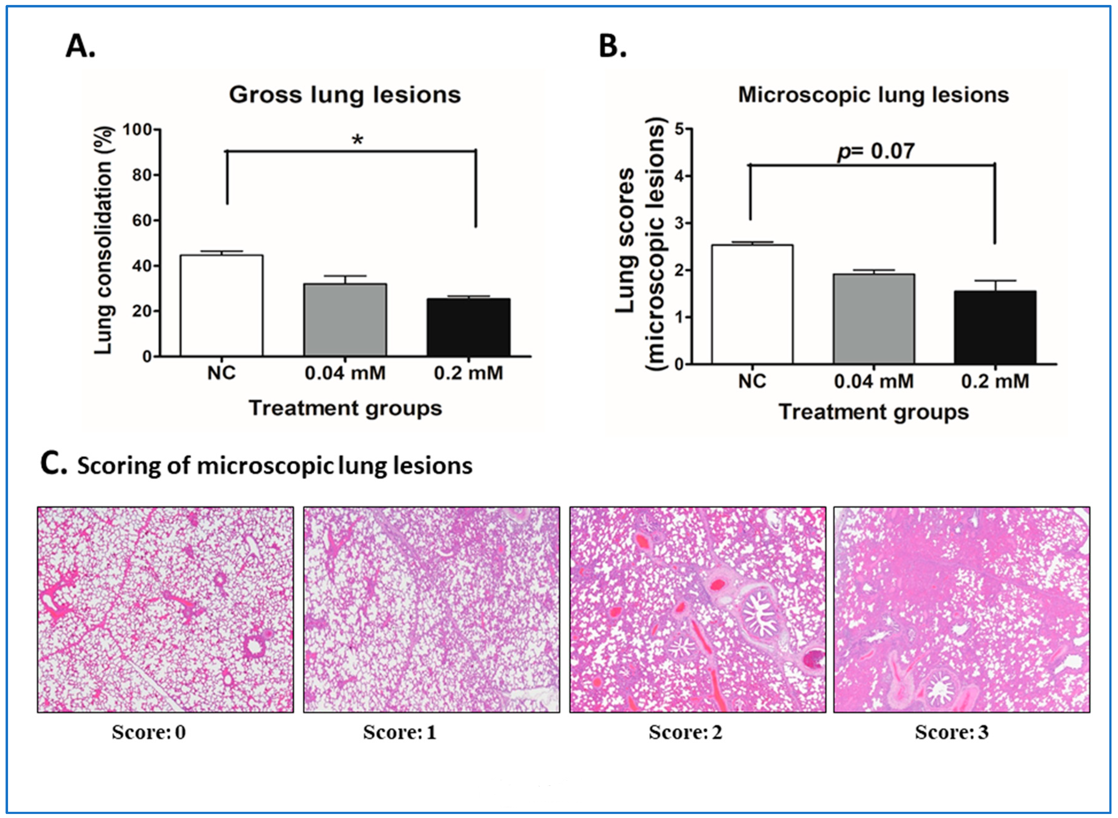Molecules 24 00887 g005