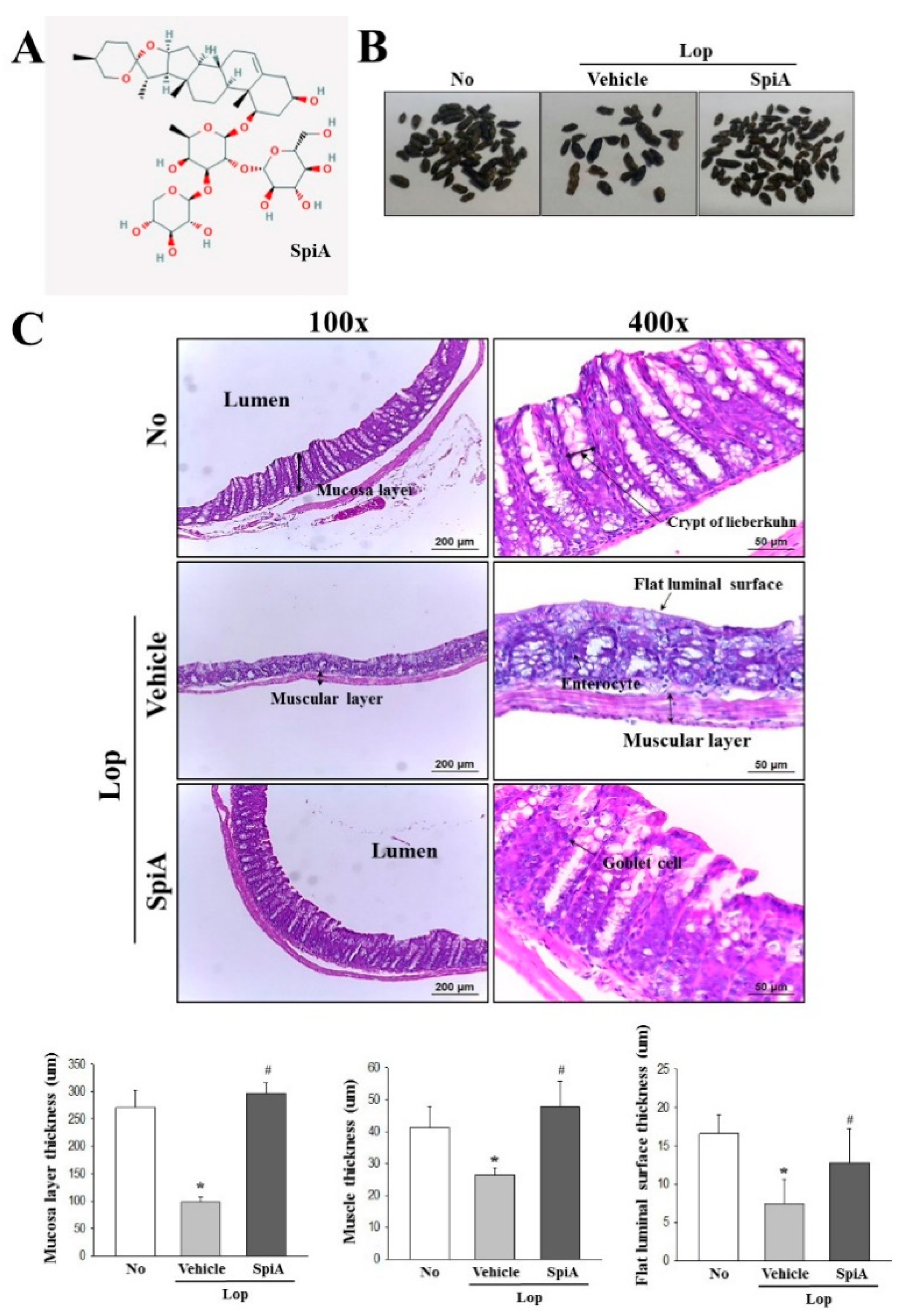 Molecules 24 00896 g001