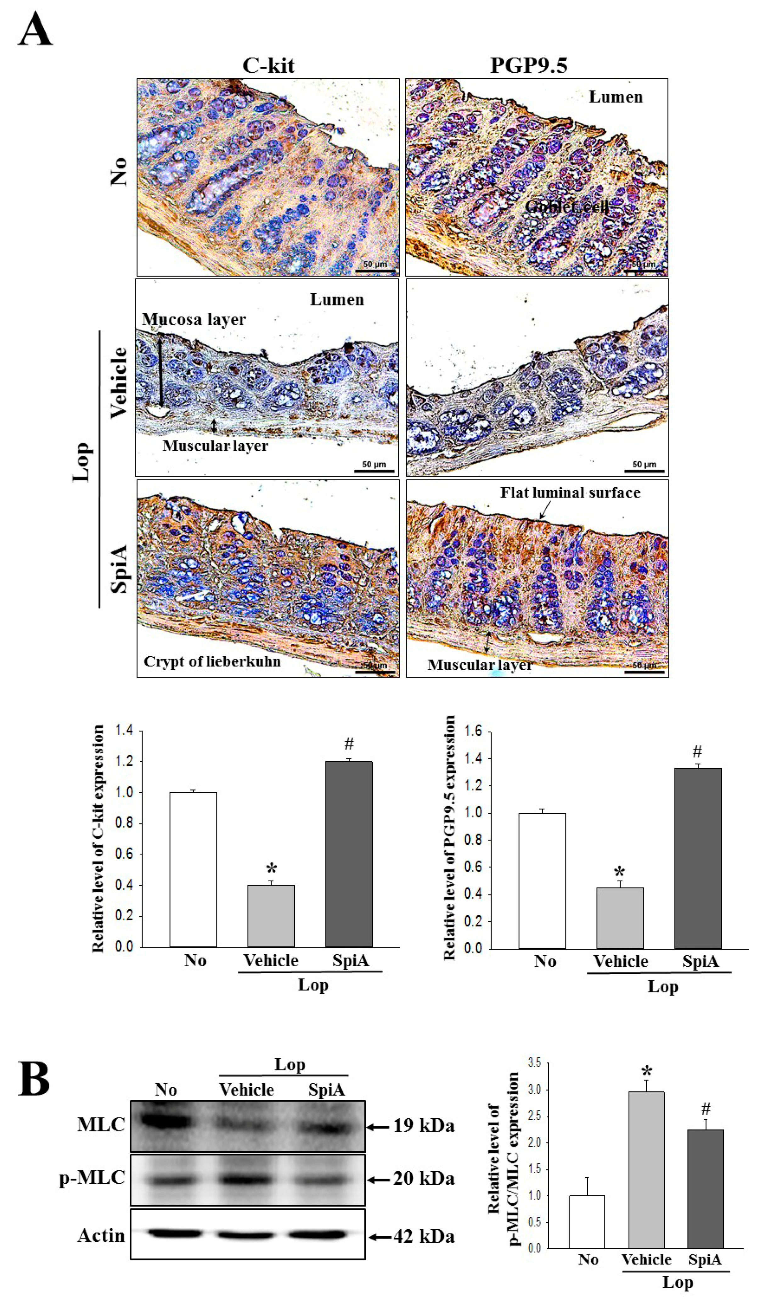 Molecules 24 00896 g007
