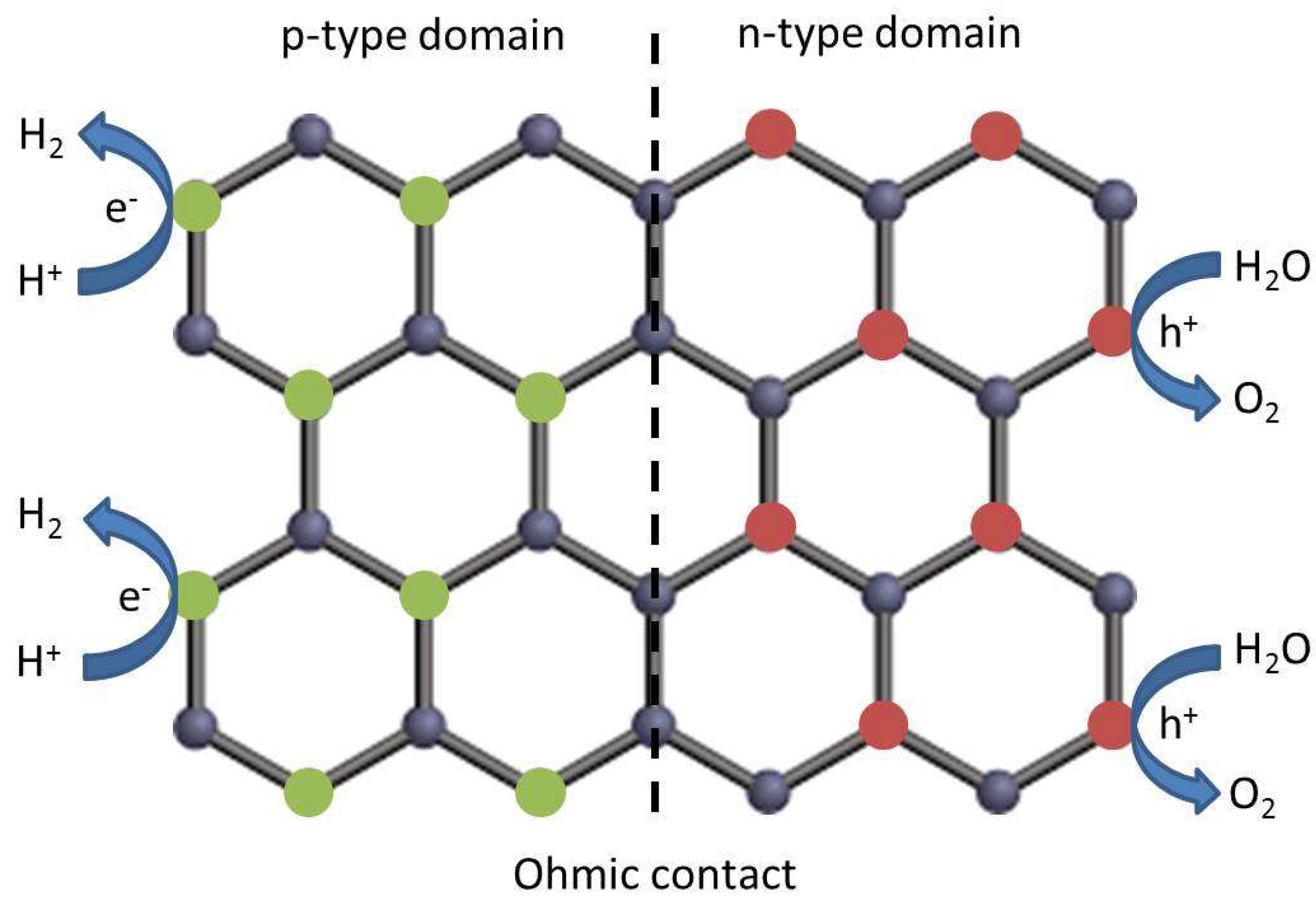 Molecules 24 00906 sch008
