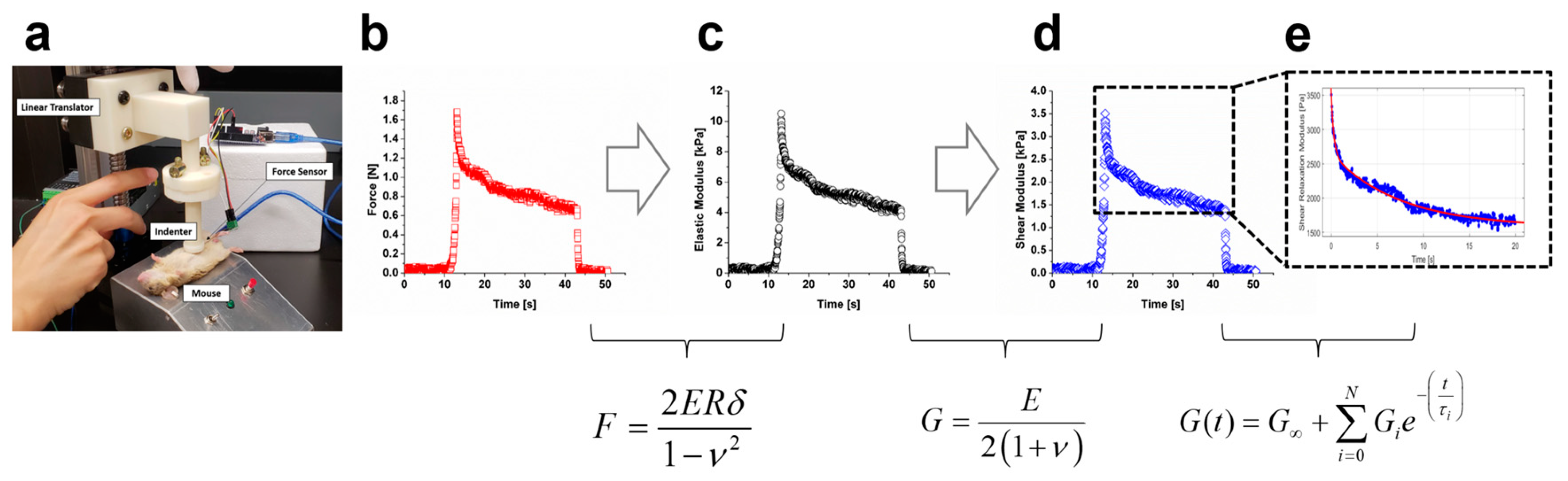 Molecules 24 00907 g007 Molecules 24 00907 g007