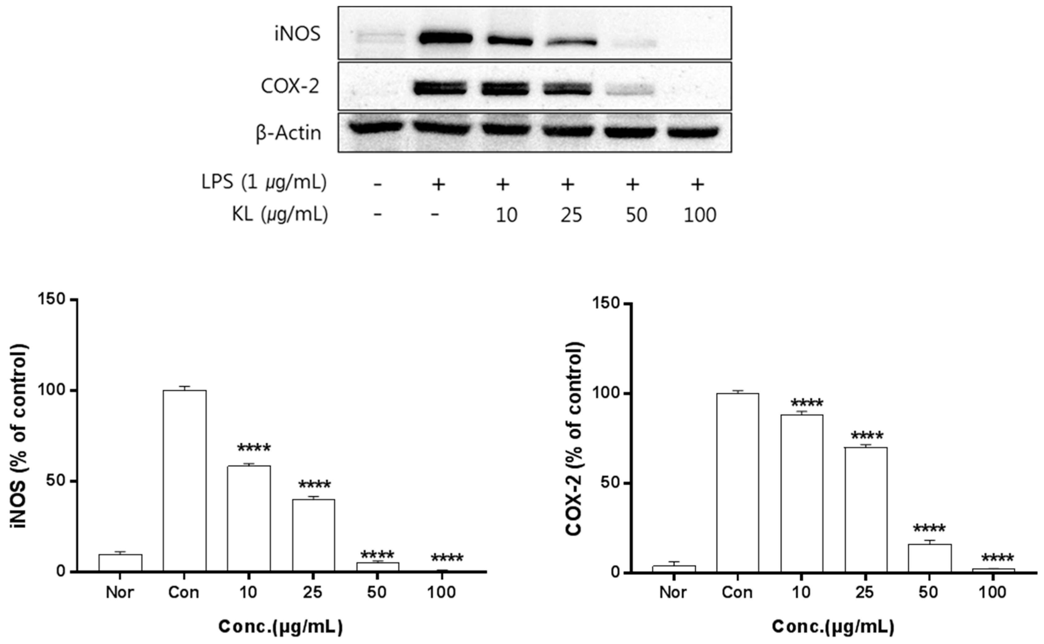 Molecules 24 00912 g002