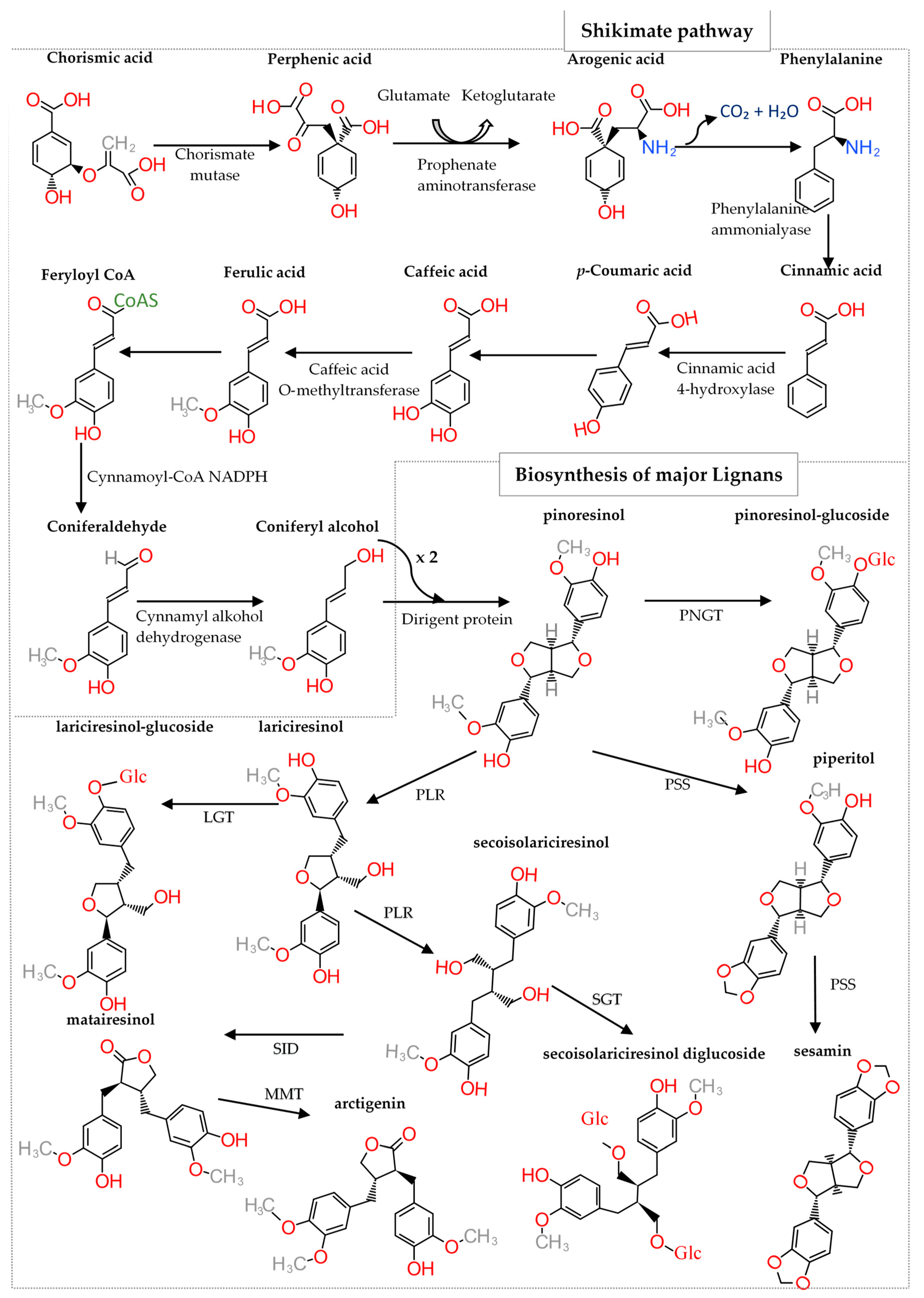 Molecules 24 00917 g002