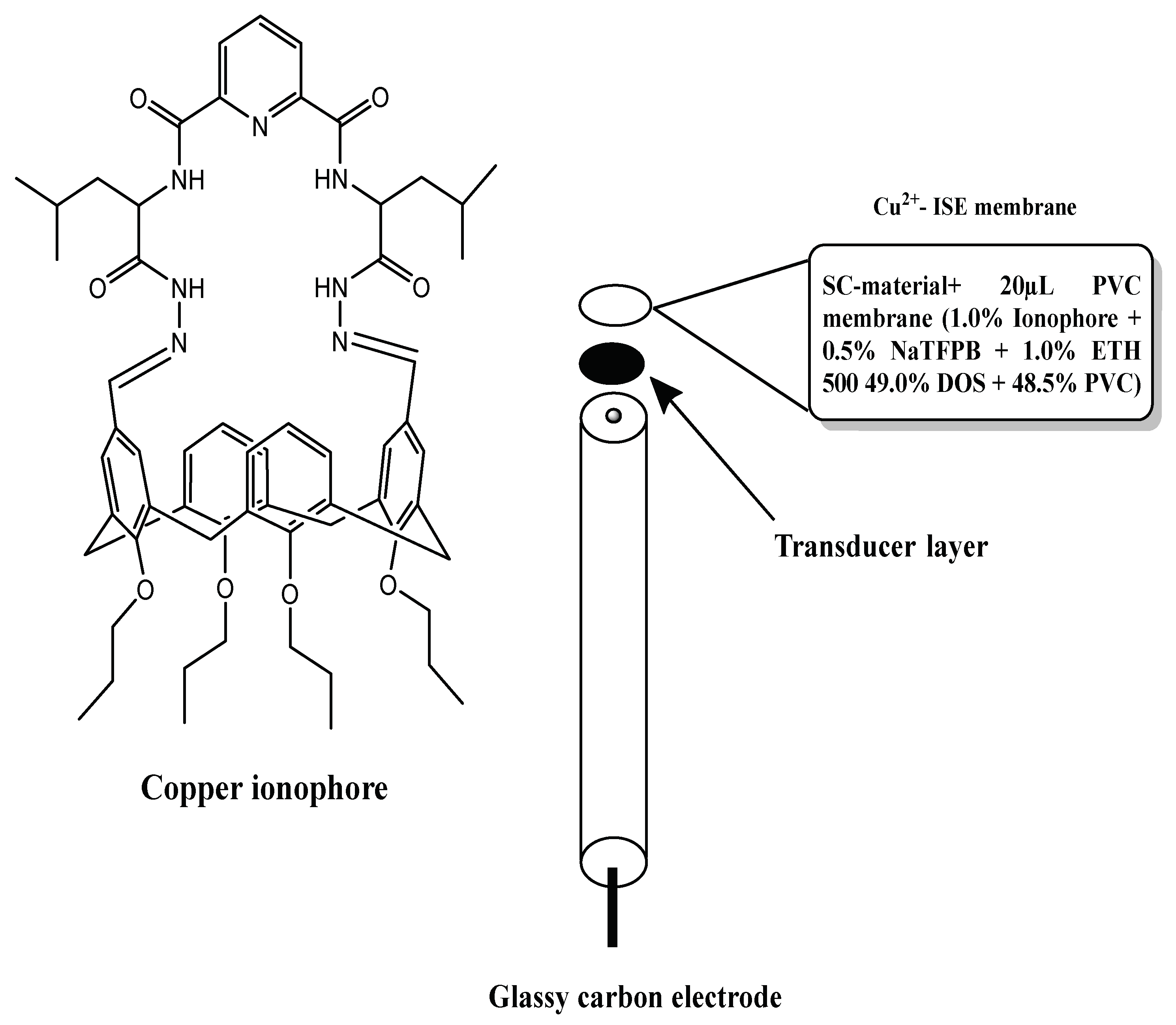 Molecules 24 00920 g001