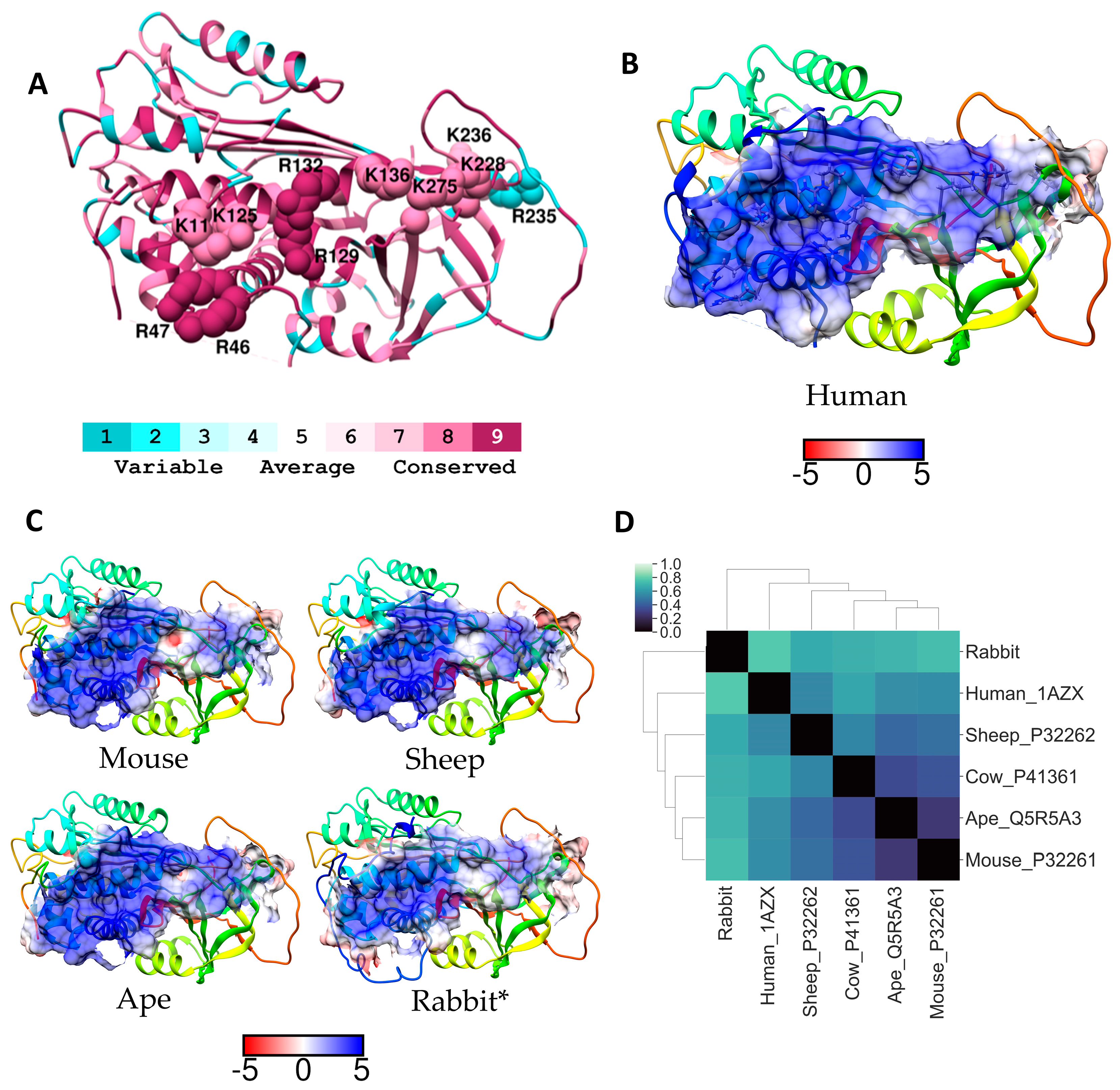 Molecules 24 00924 g001 Molecules 24 00924 g001