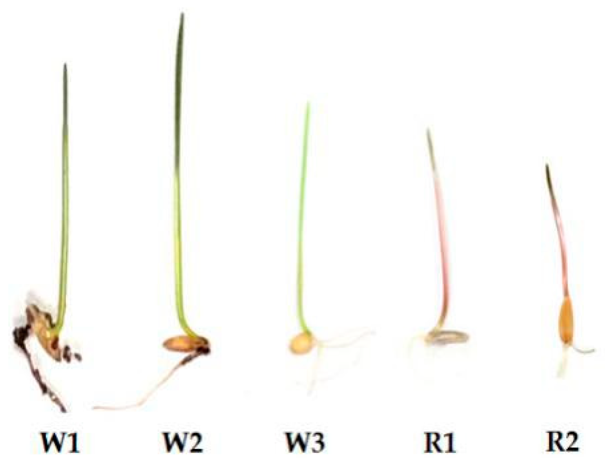 Molecules 24 00932 g001 550