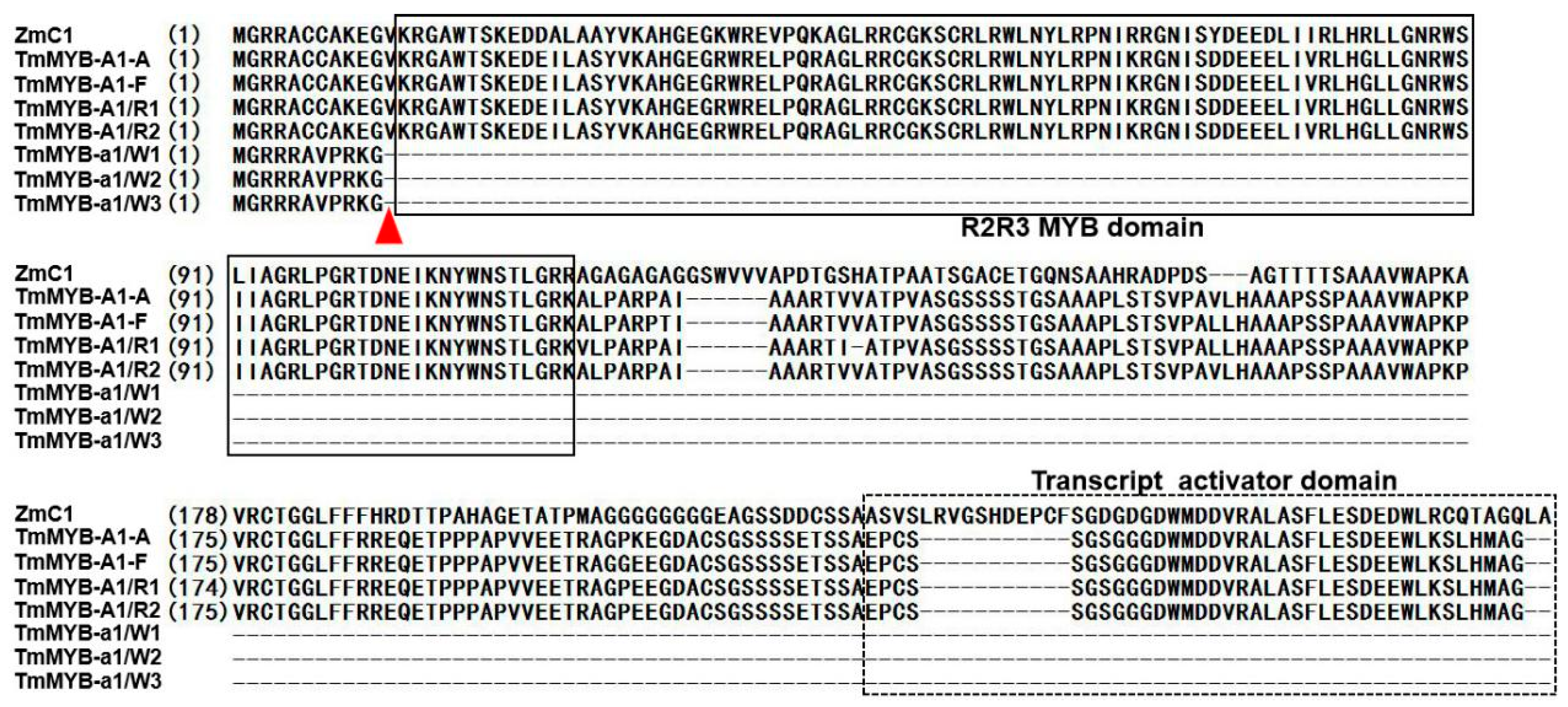 Molecules 24 00932 g004 550