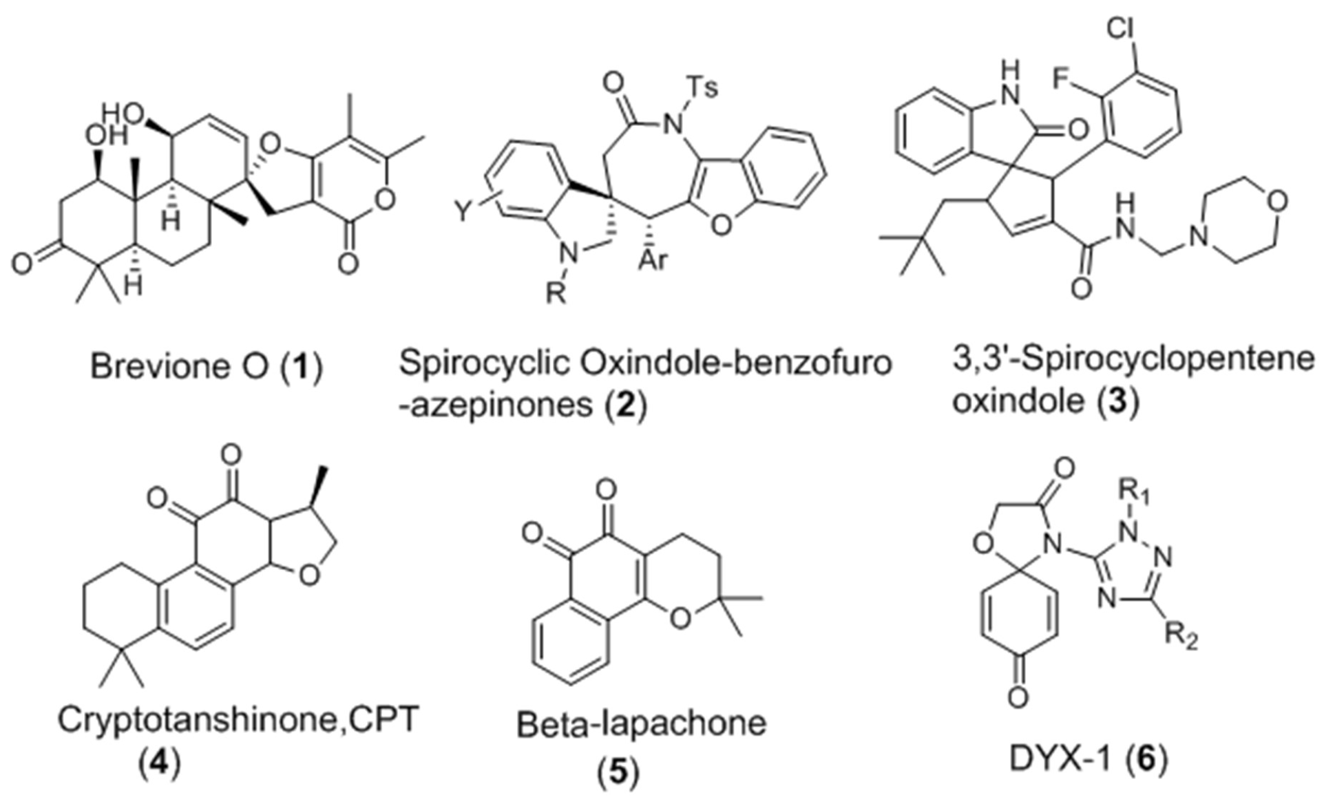Molecules 24 00936 g001