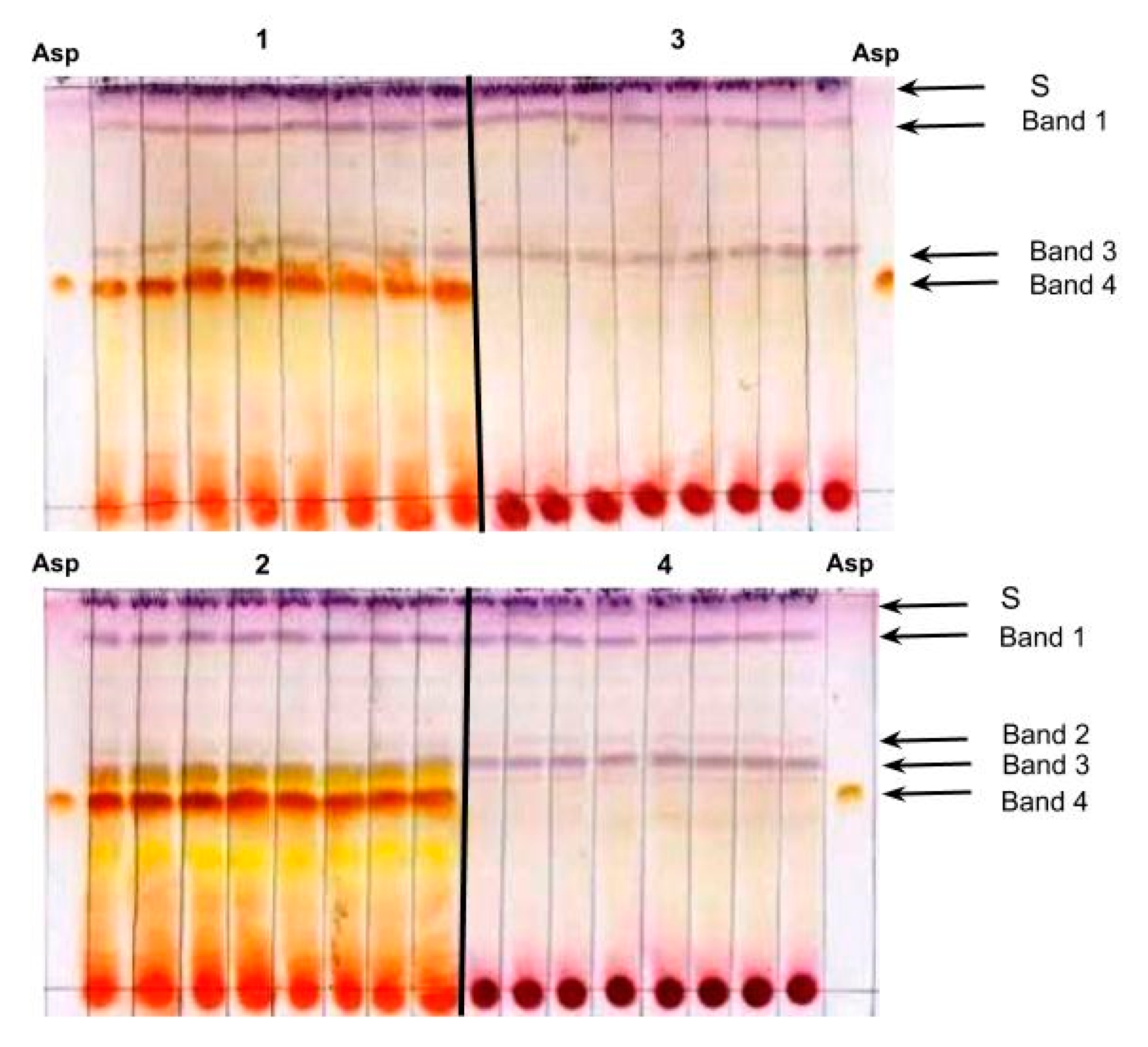 Molecules 24 00938 g001 550