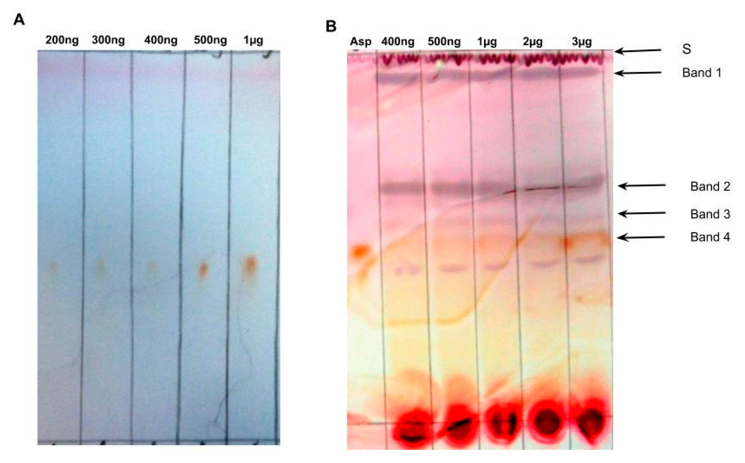 Molecules 24 00938 g003 550