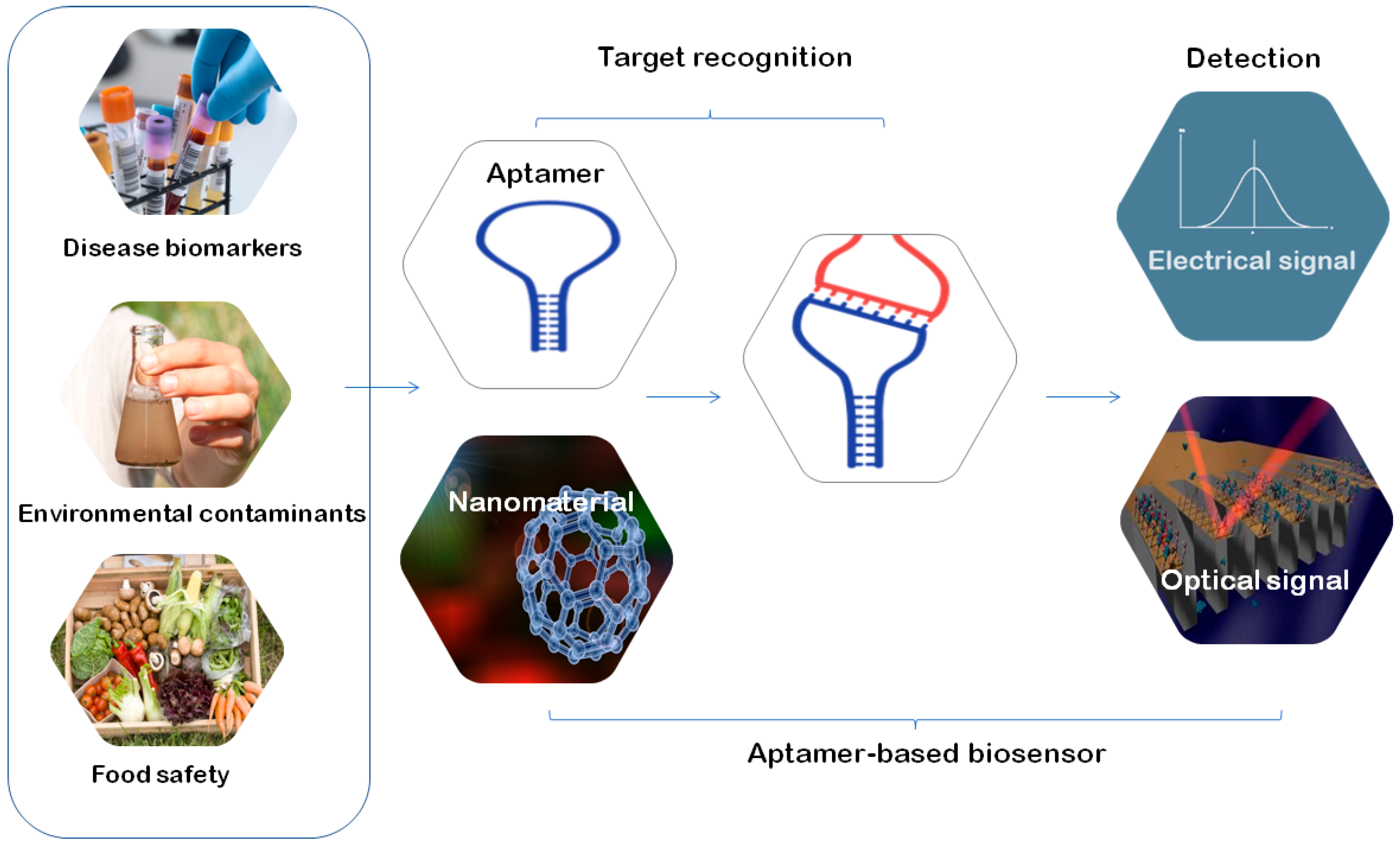 Molecules 24 00941 g003 Molecules 24 00941 g003