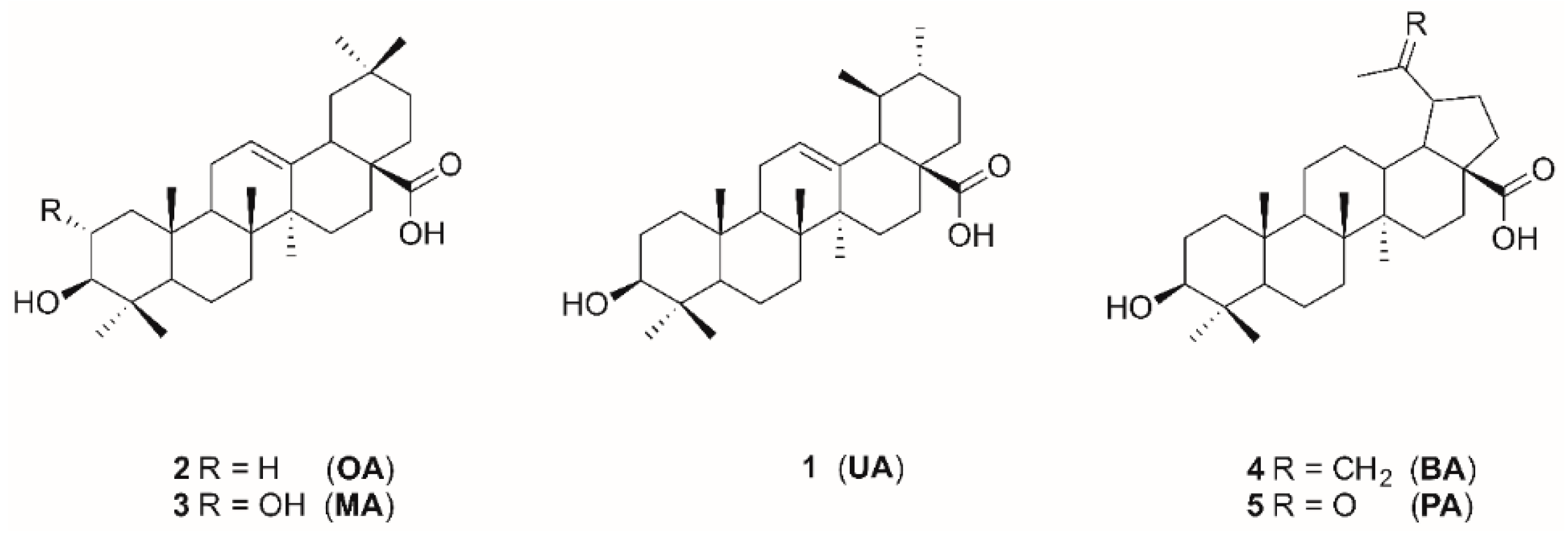 Molecules 24 00948 g001