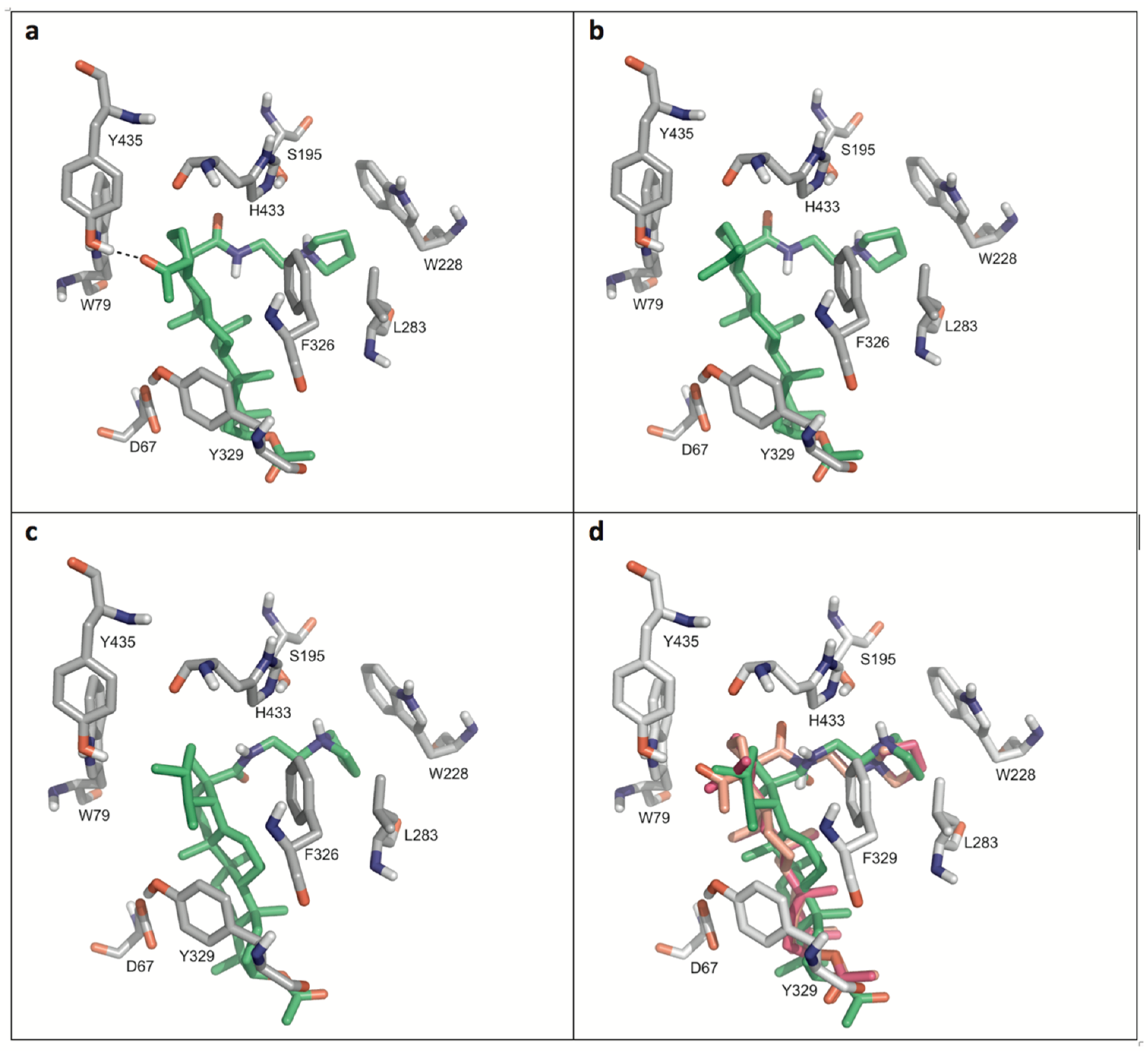 Molecules 24 00948 g004