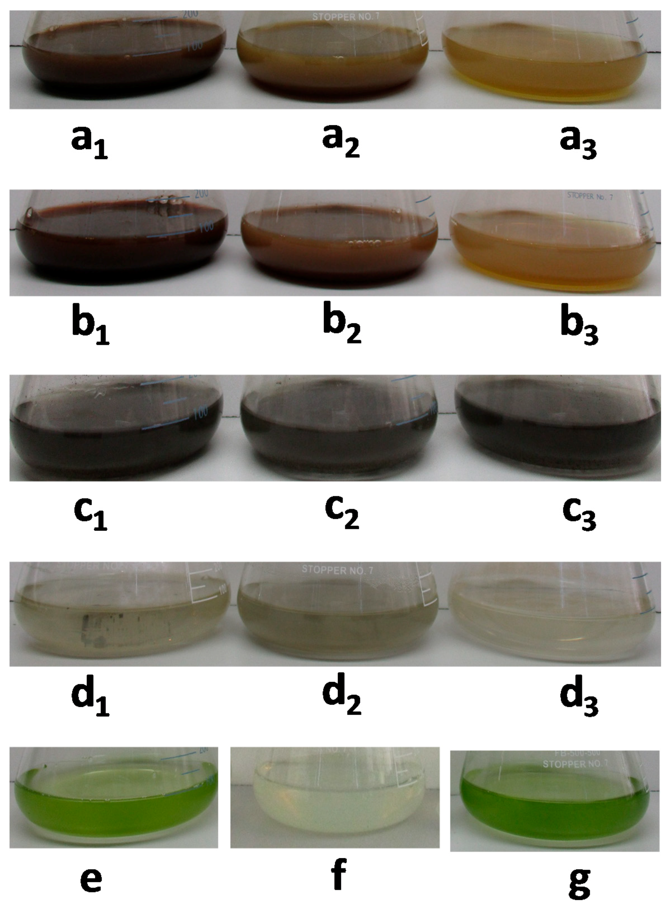 Molecules 24 00956 g001 Molecules 24 00956 g001