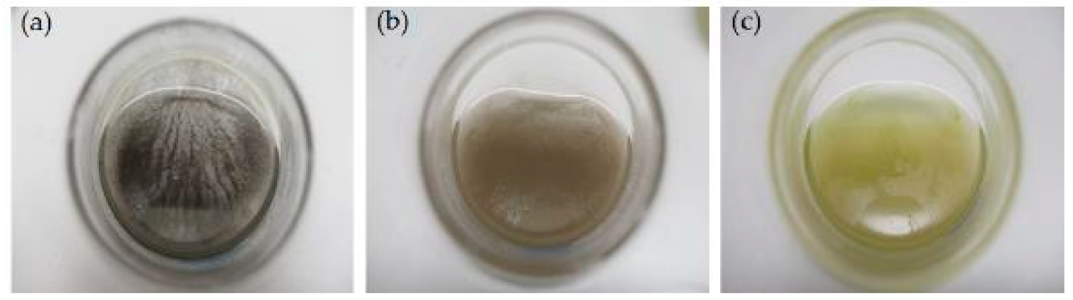 Molecules 24 00956 g005 Molecules 24 00956 g005