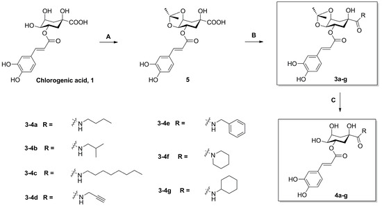 Synthesis and In Vitro Evaluation of Caffeoylquinic Acid Derivatives as ...