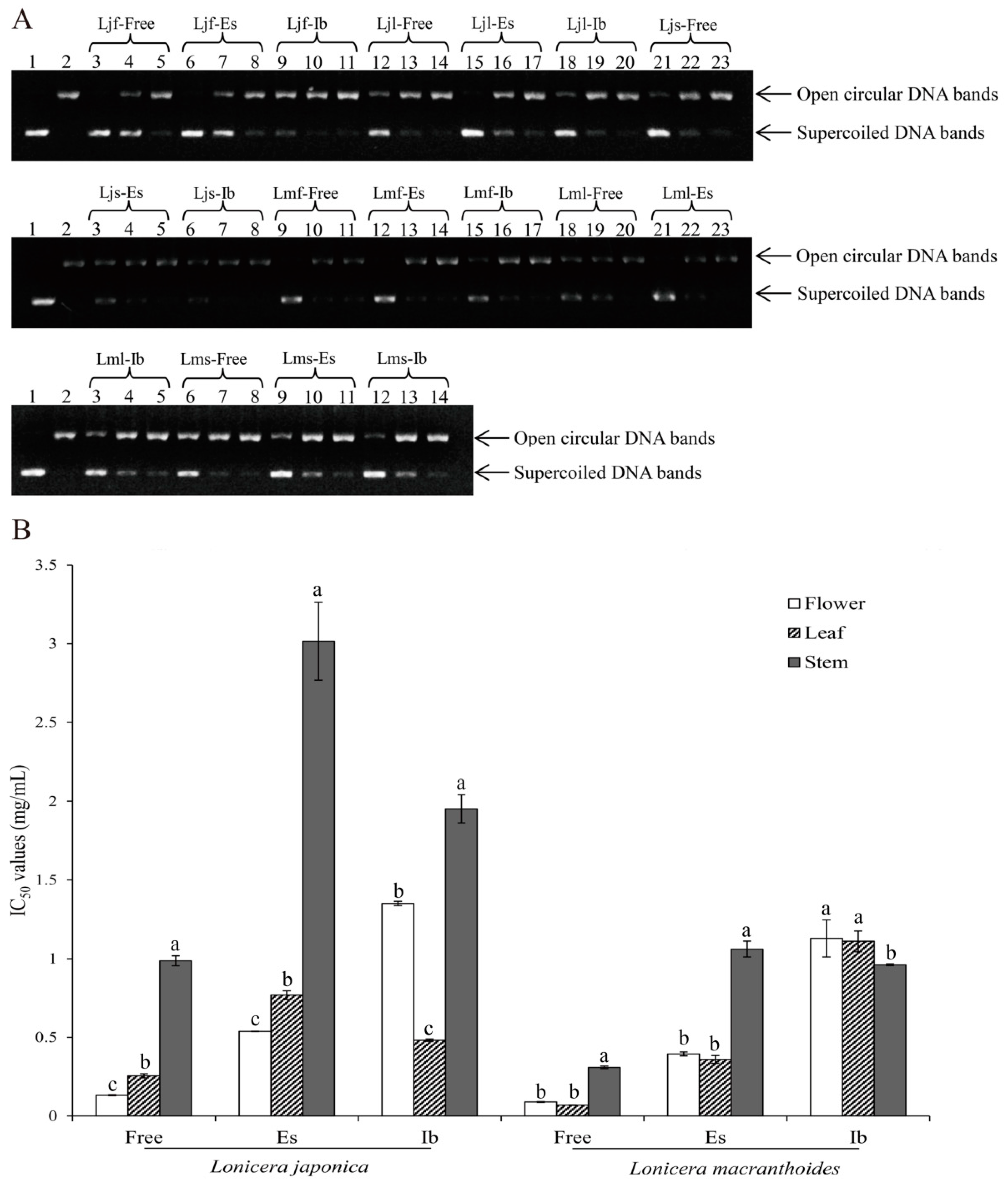 Molecules 24 00970 g003
