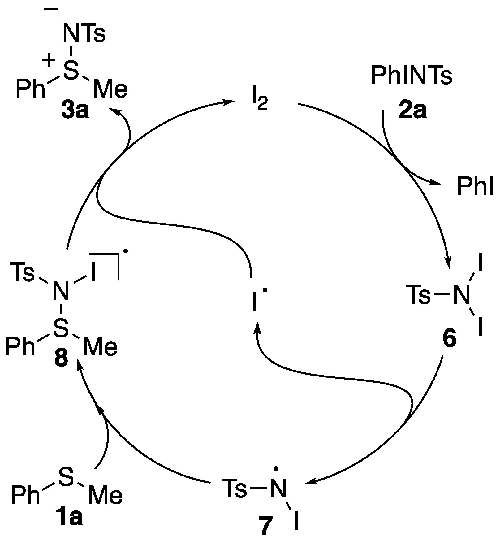 Molecules 24 00979 sch004