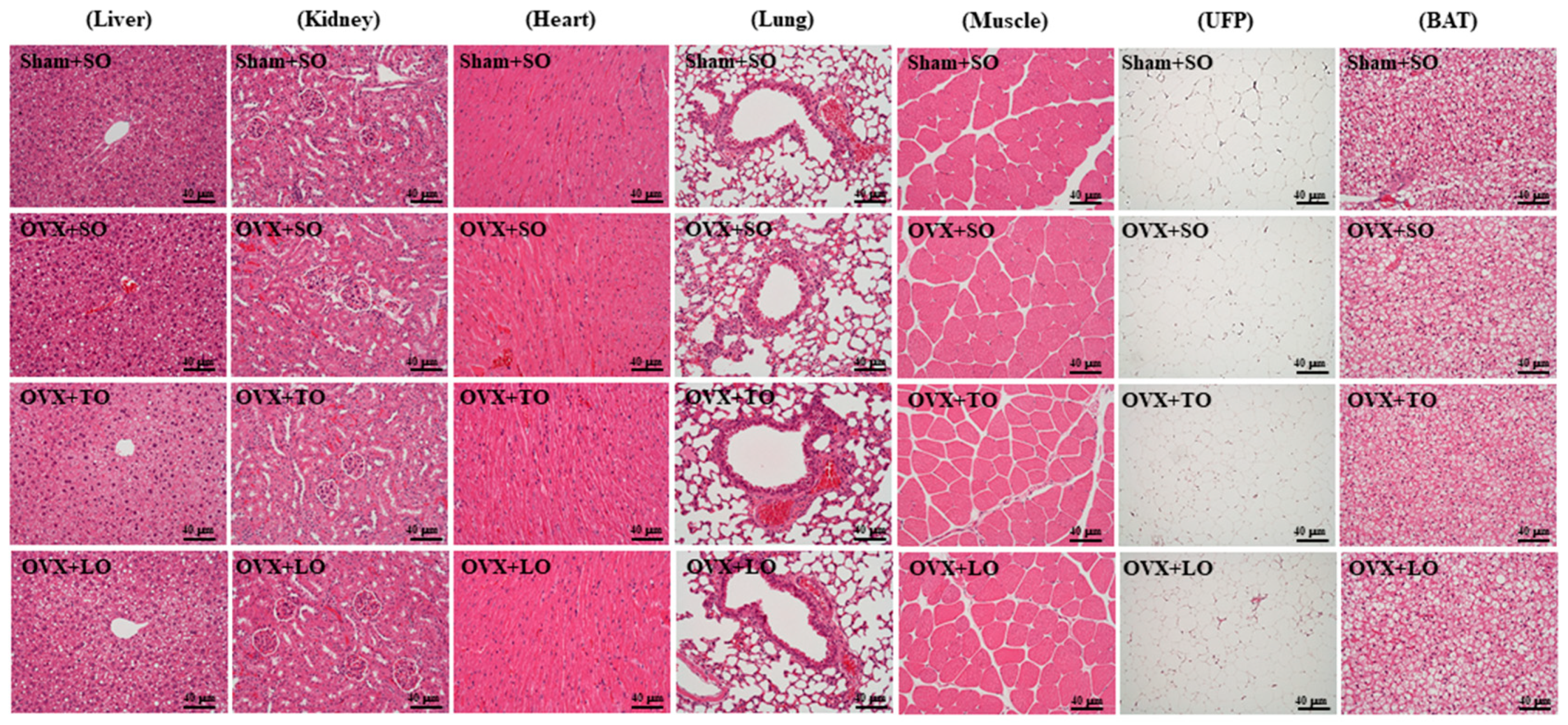 Molecules 24 00980 g008