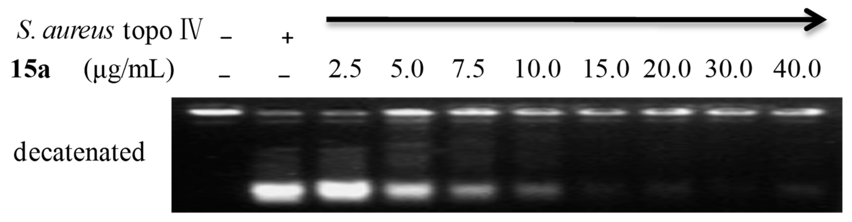 Molecules 24 00984 g003