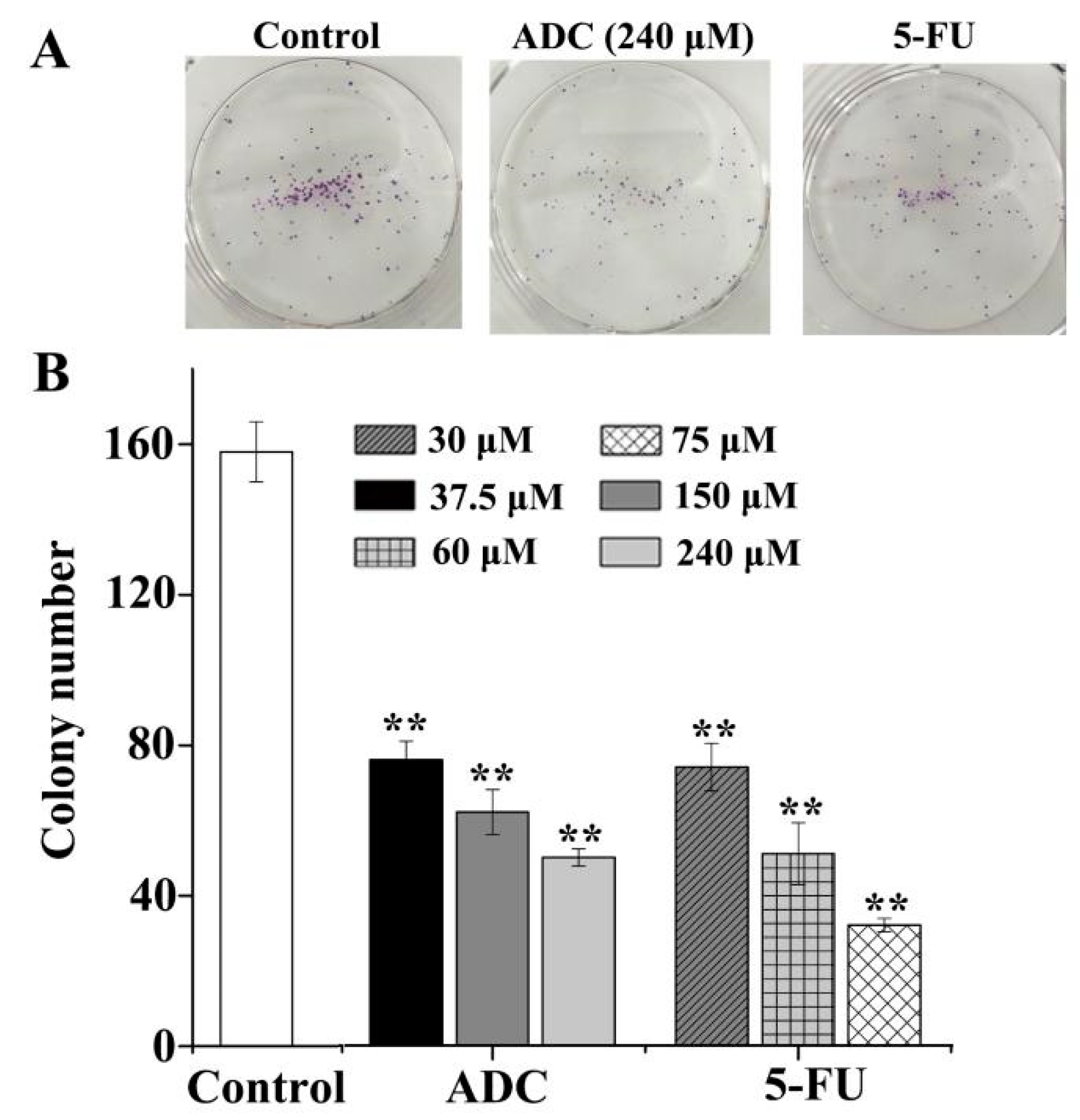 Molecules 24 00993 g002