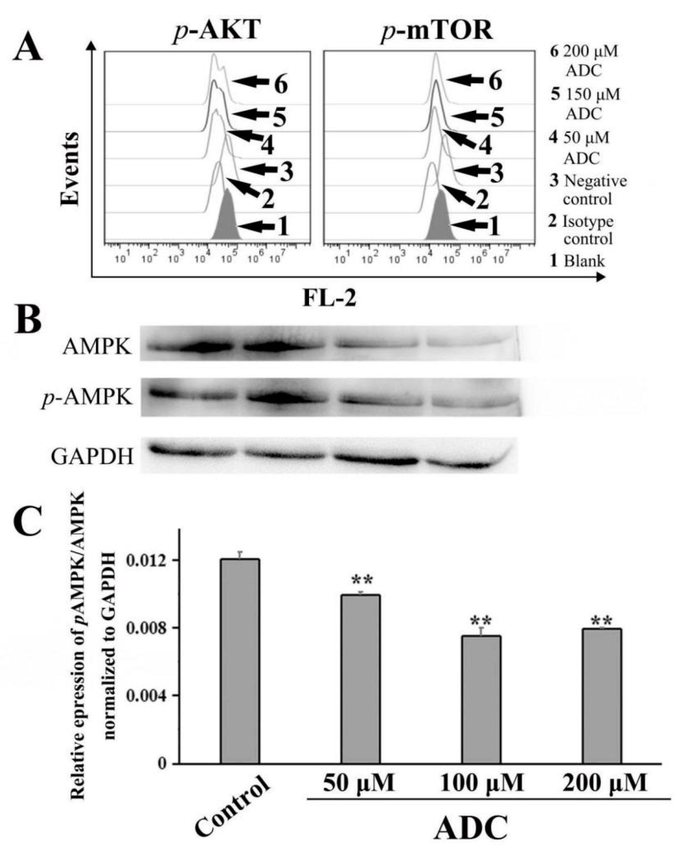 Molecules 24 00993 g012