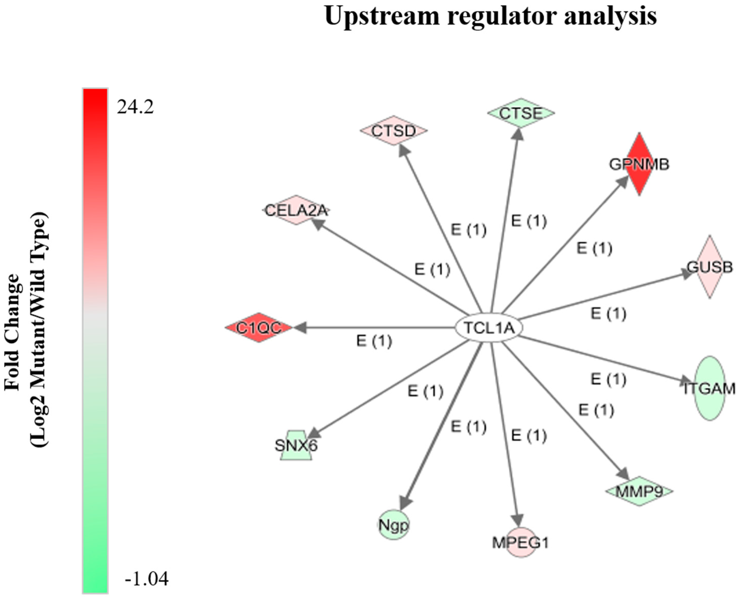 Molecules 24 00994 g004 Molecules 24 00994 g004