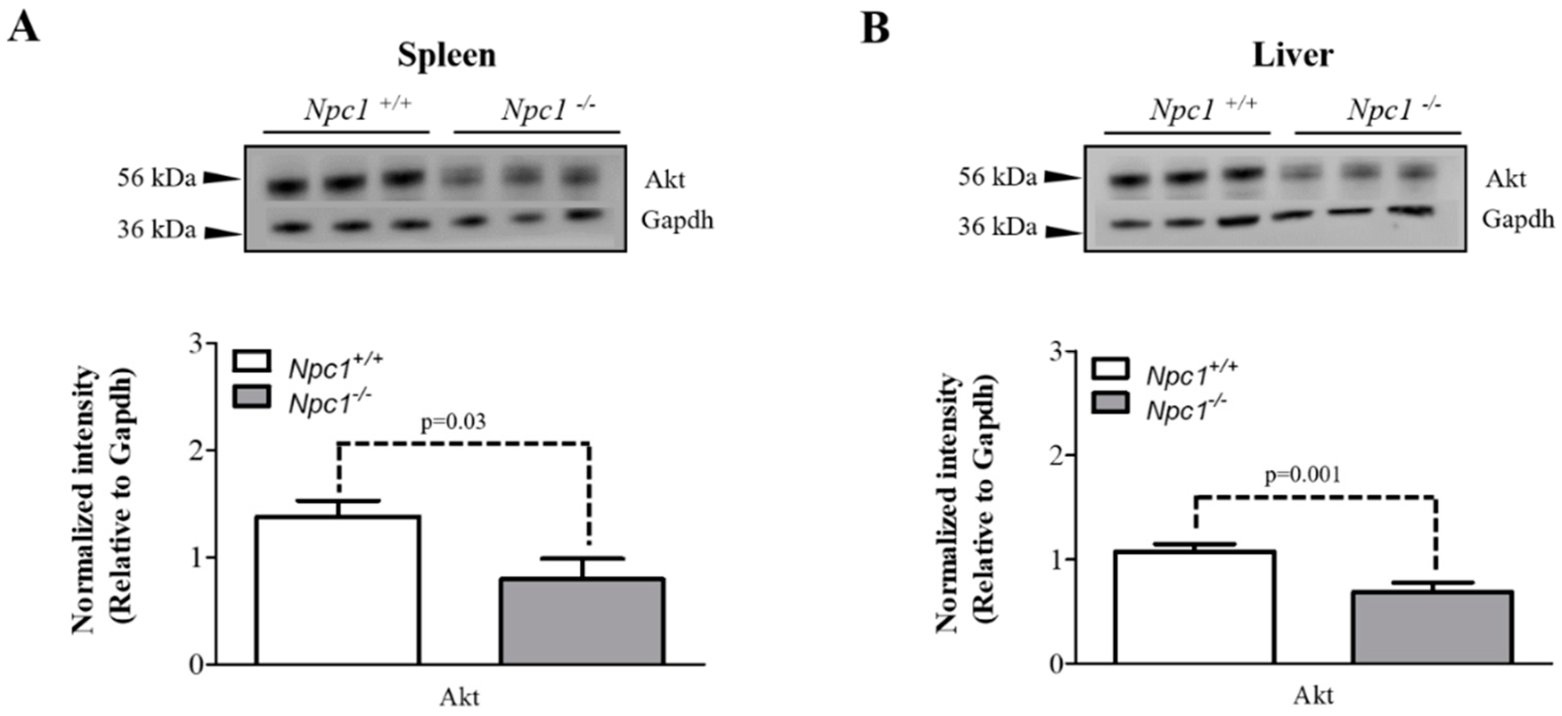 Molecules 24 00994 g005 Molecules 24 00994 g005