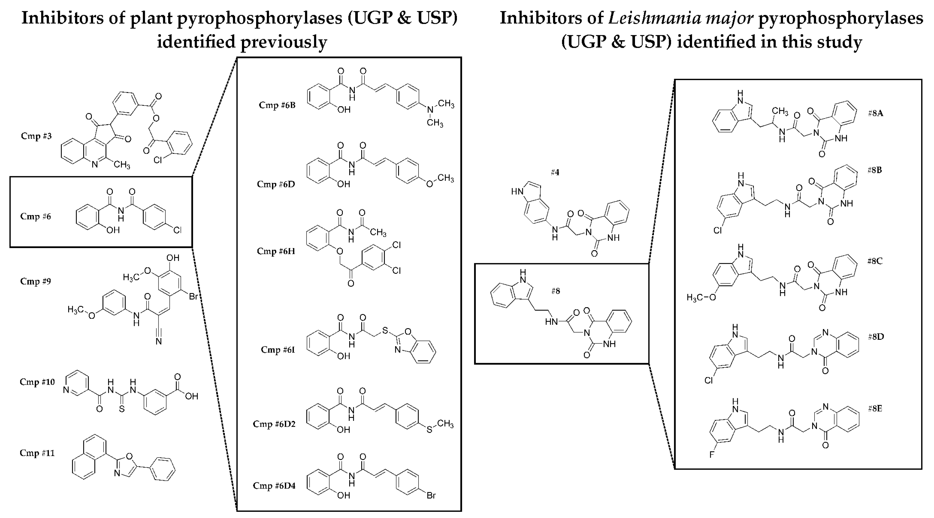 Molecules 24 00996 g006 Molecules 24 00996 g006
