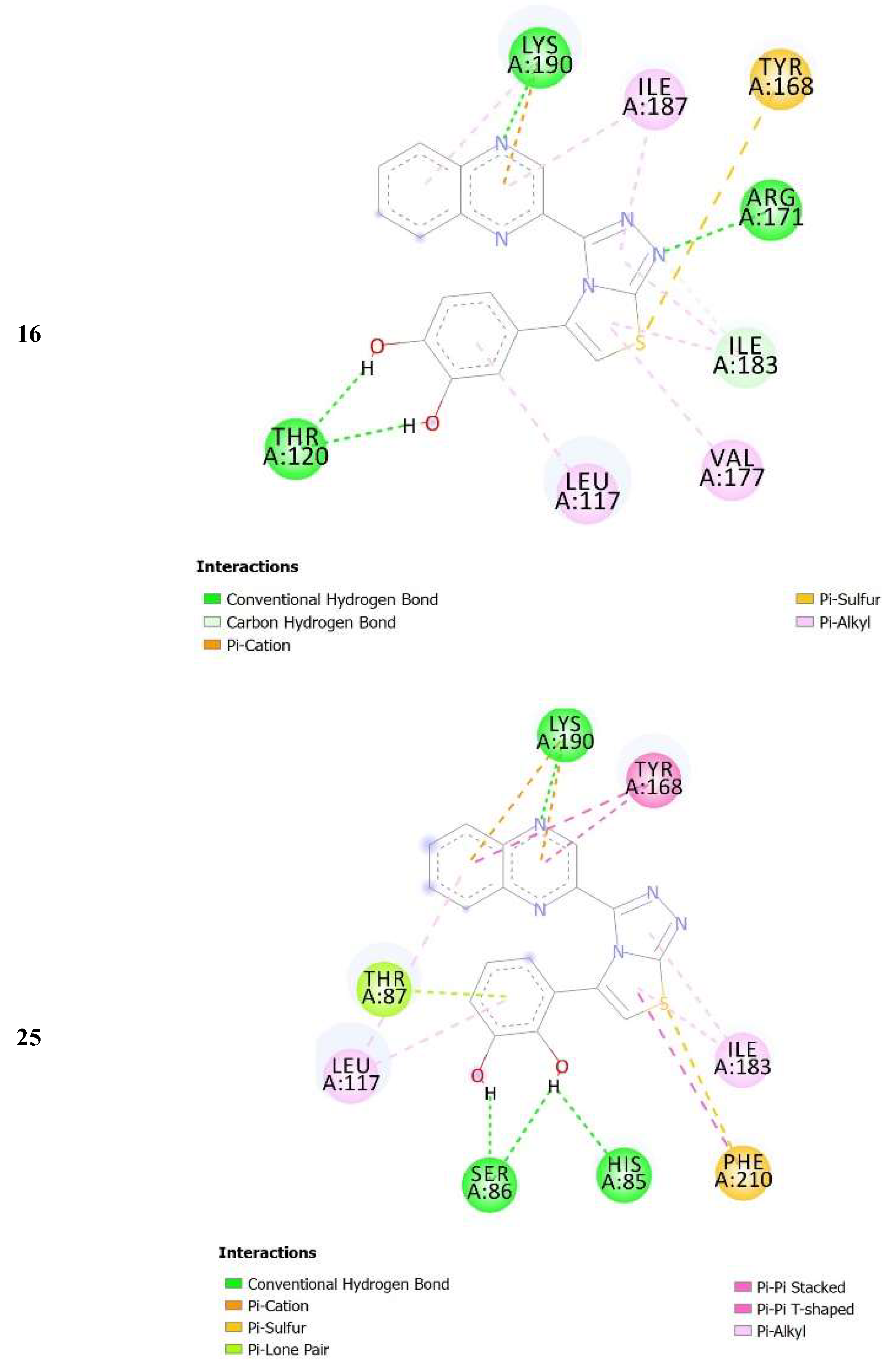 Molecules 24 01002 g005b