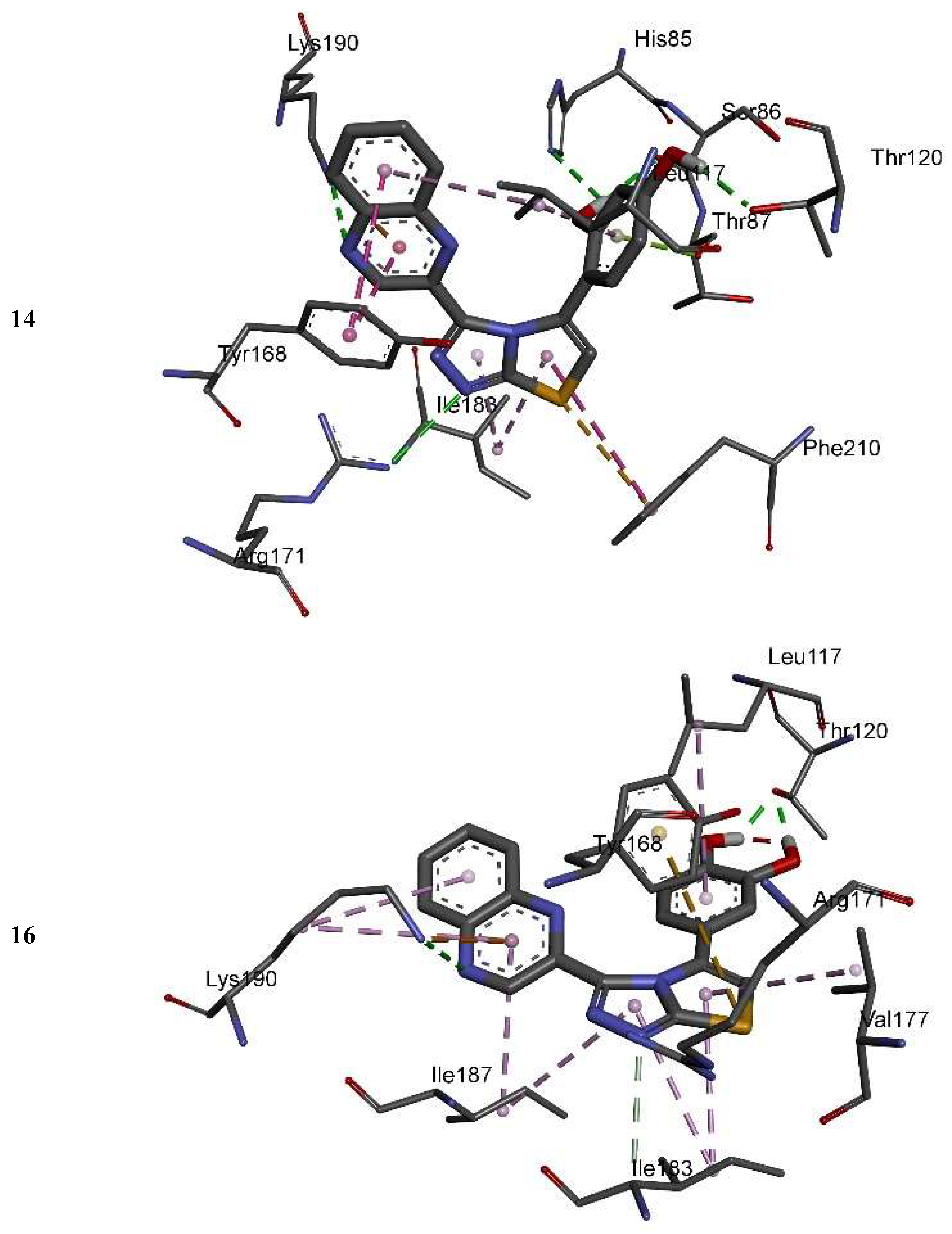 Molecules 24 01002 g006a