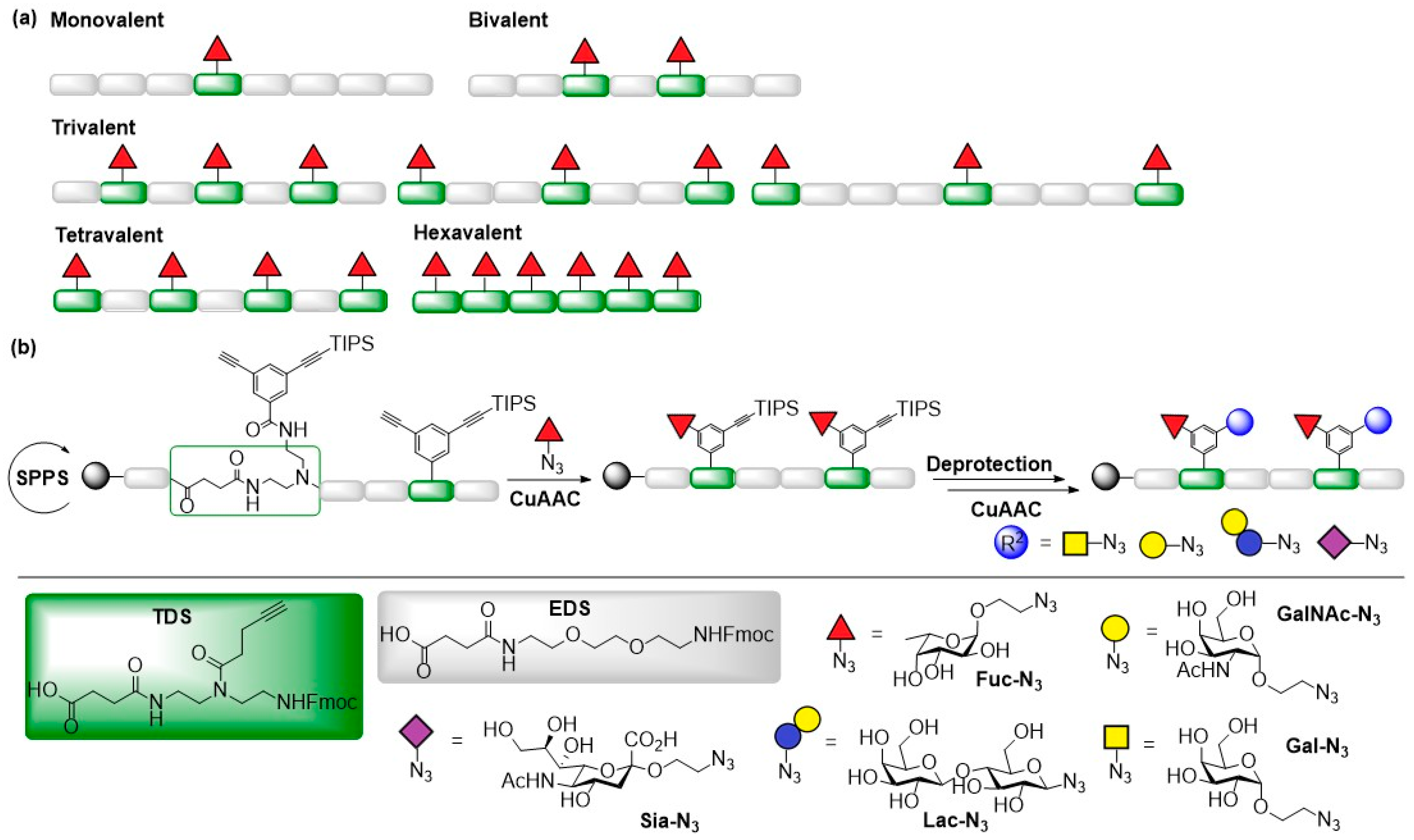 Molecules 24 01004 g006