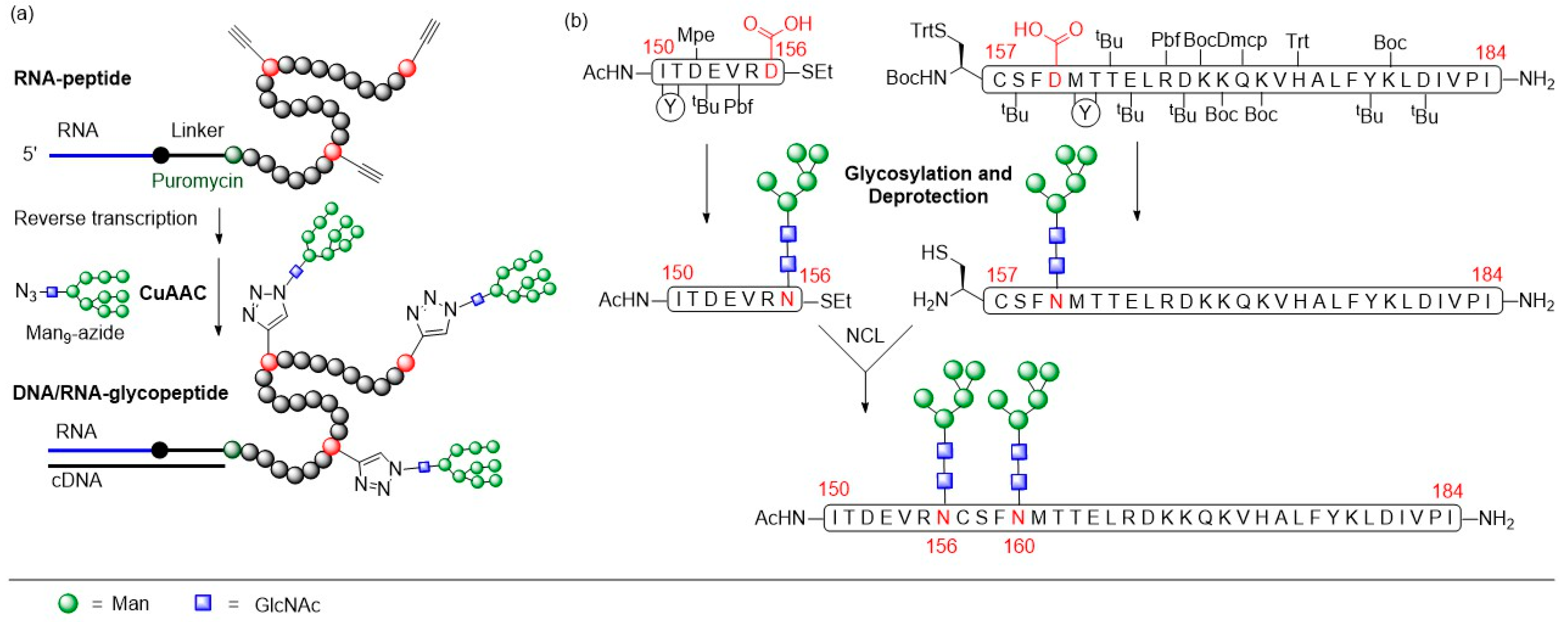 Molecules 24 01004 g012