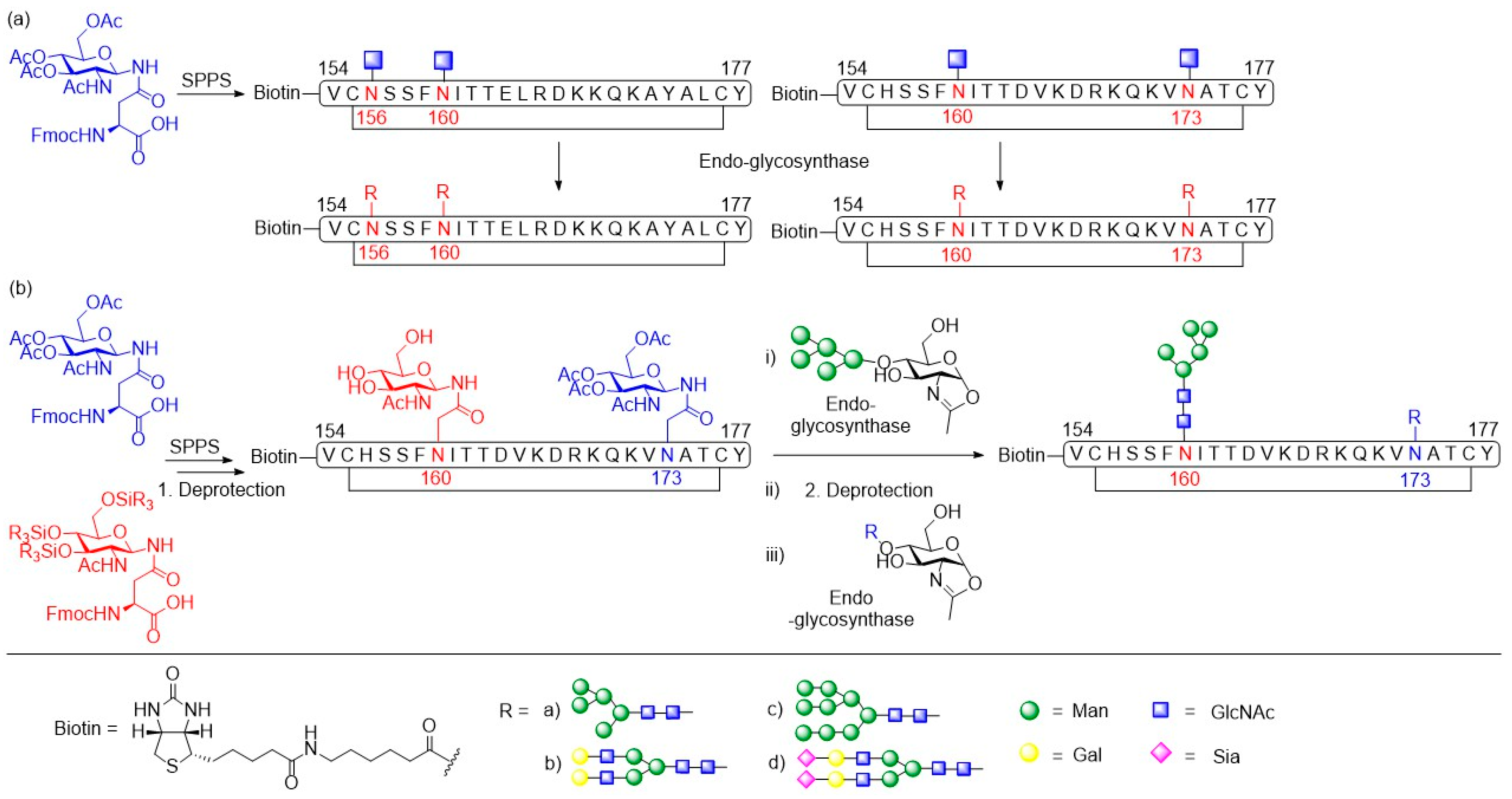 Molecules 24 01004 g013