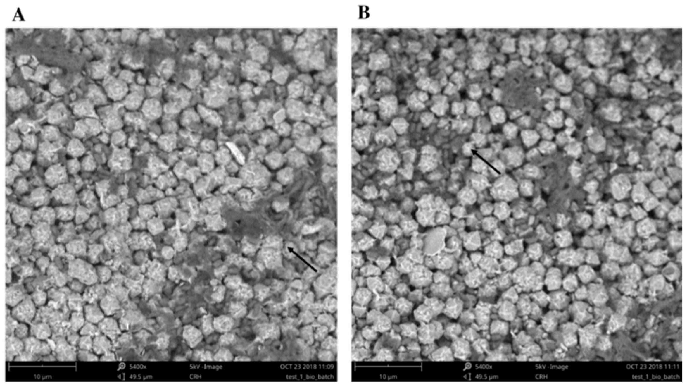 Molecules 24 01005 g006