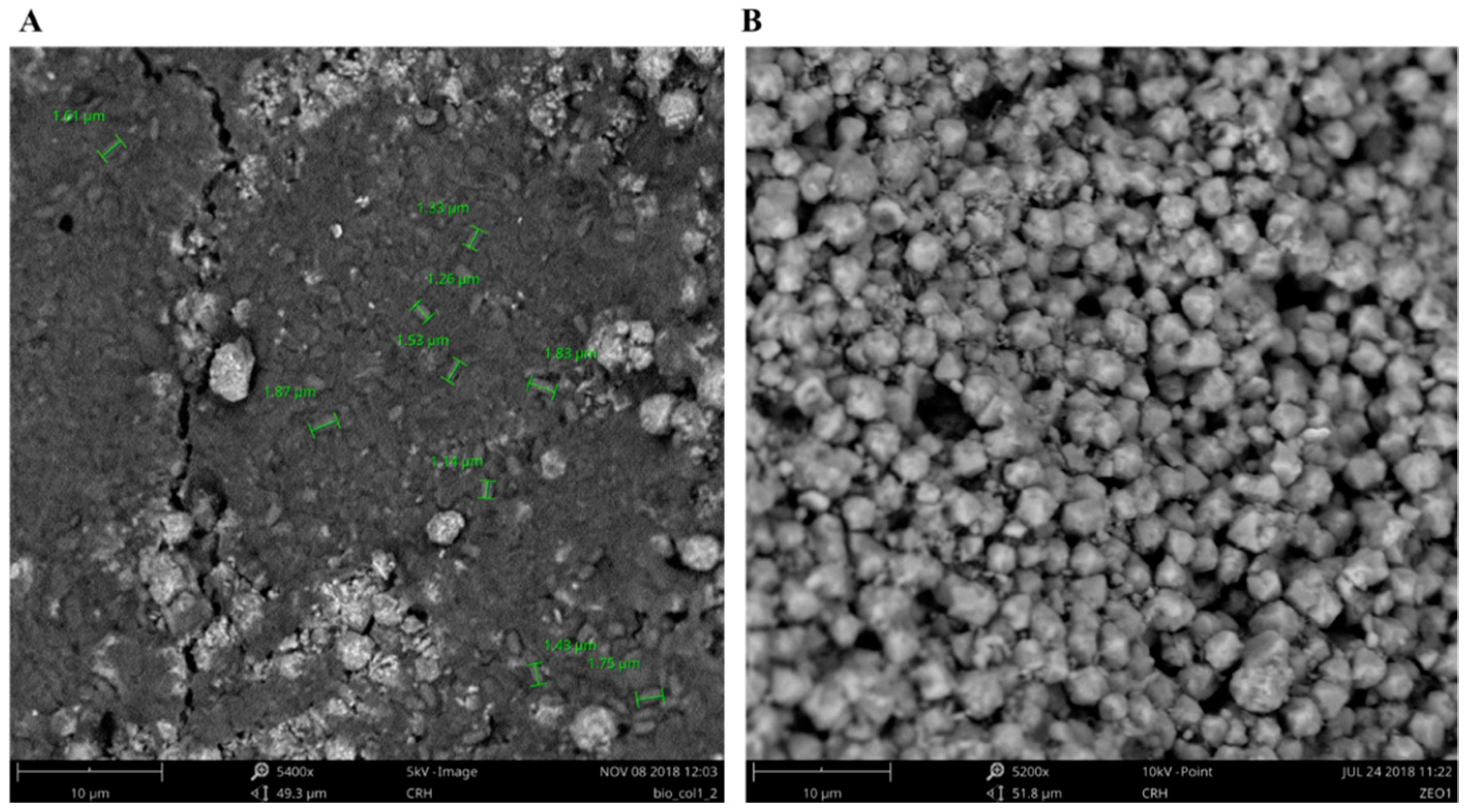 Molecules 24 01005 g010