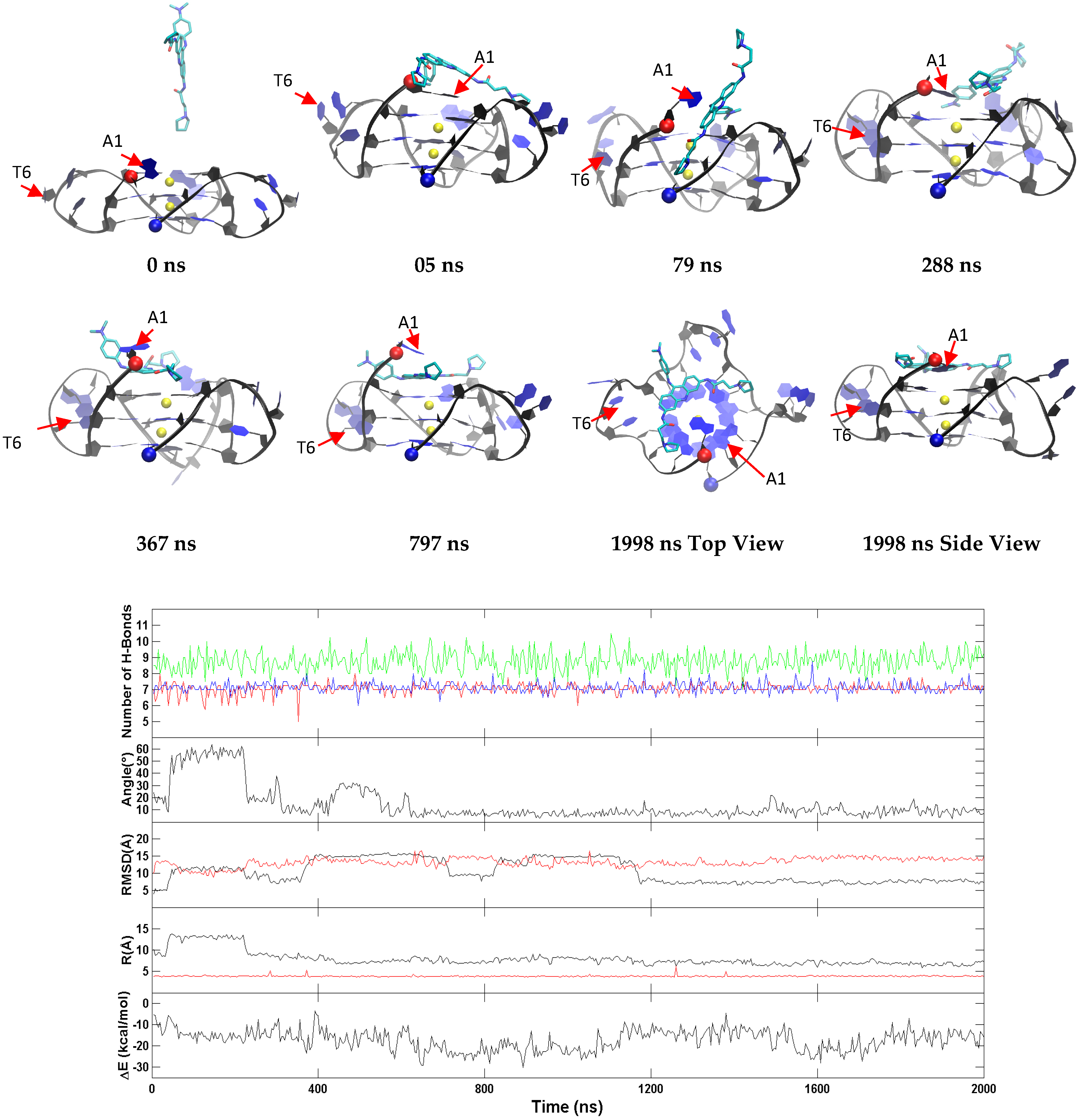 Molecules 24 01010 g005