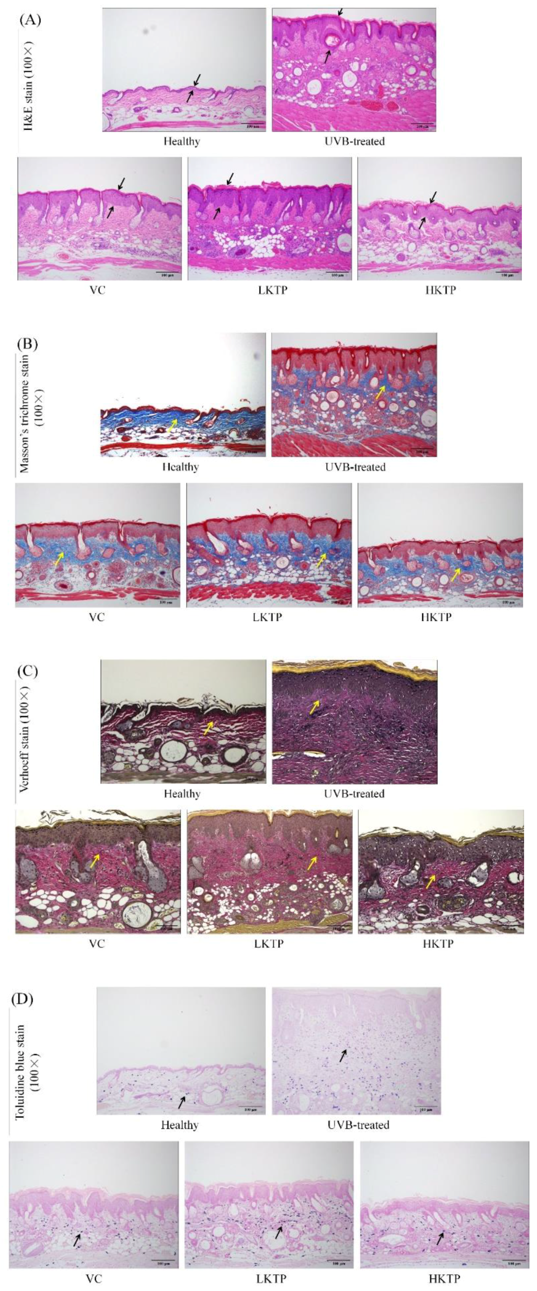 Molecules 24 01016 g003 Molecules 24 01016 g003