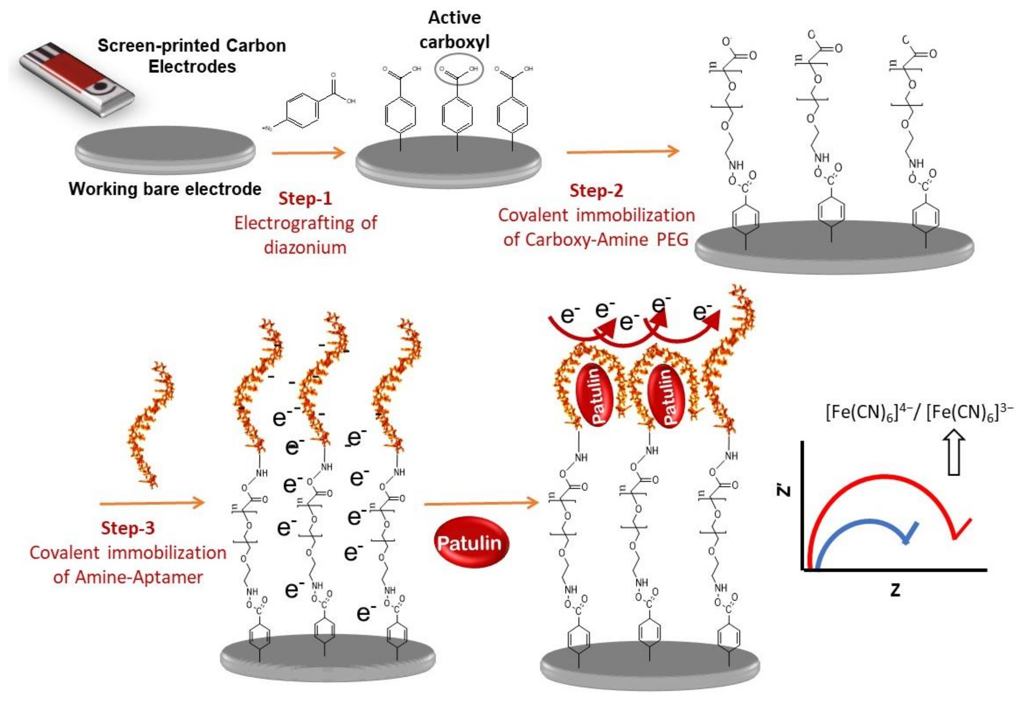 Molecules 24 01017 sch001 Molecules 24 01017 sch001