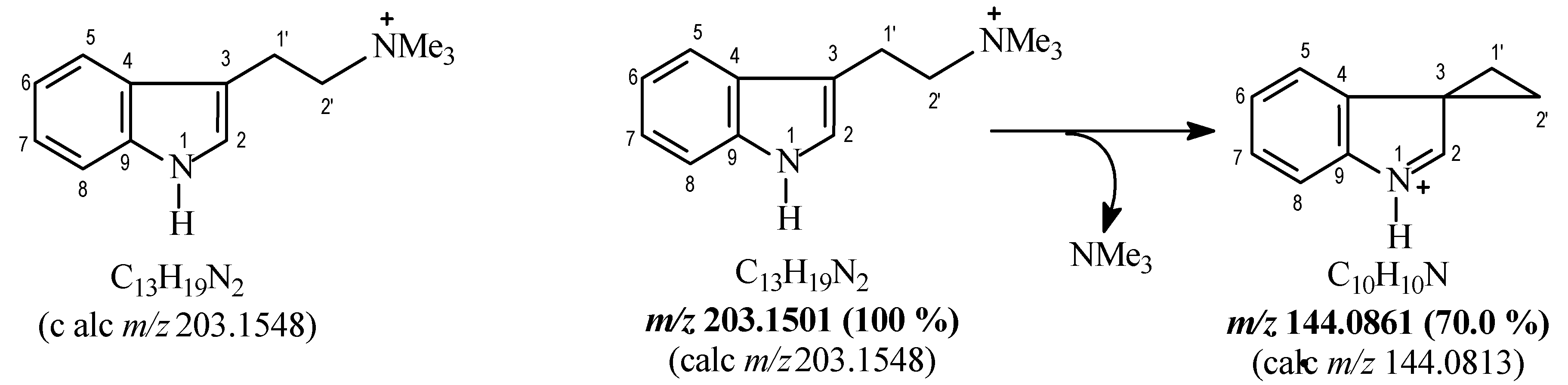 Molecules 24 01026 g002