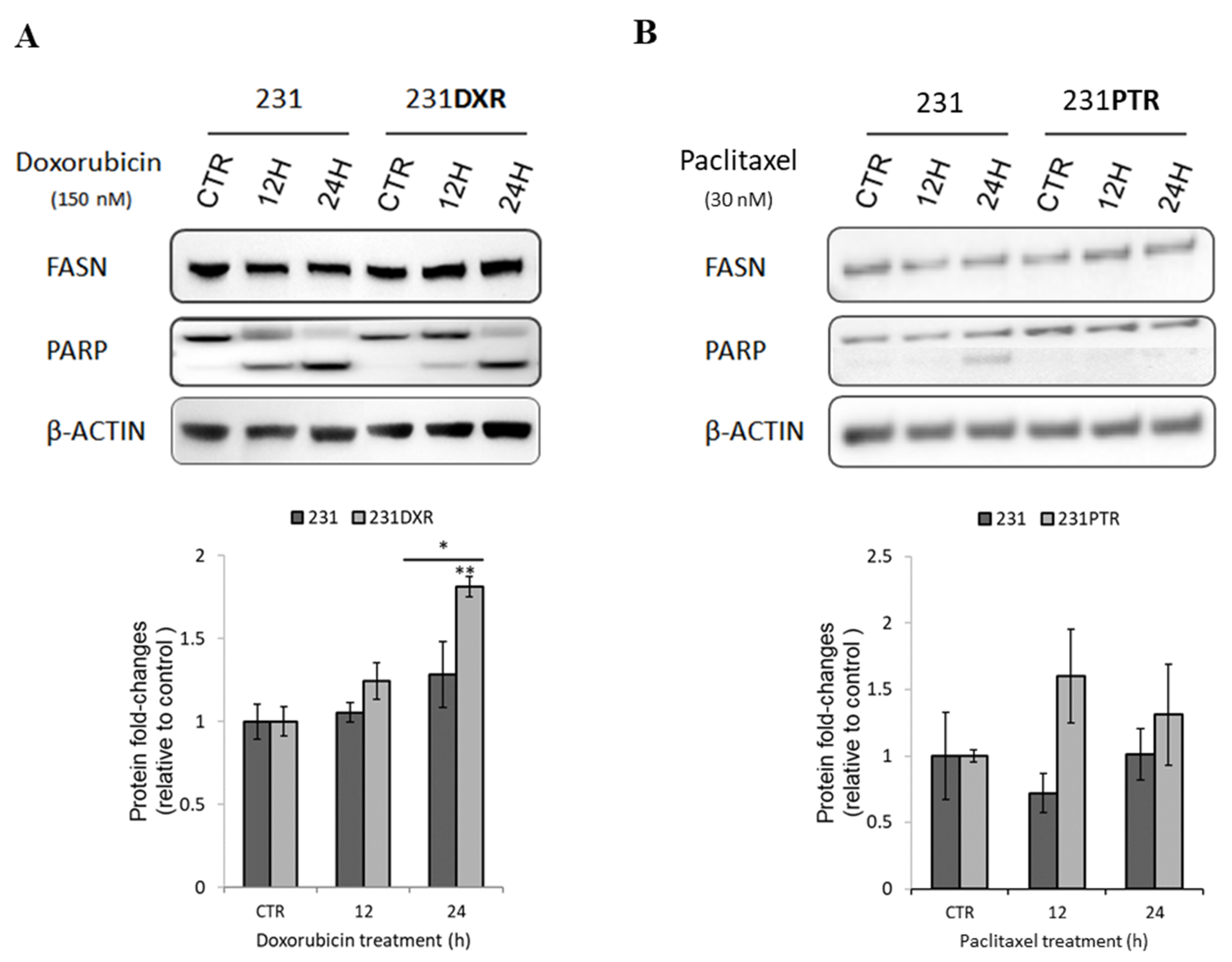 Molecules Free Full Text Egcg Derivative G28 Shows High Efficacy Inhibiting The Mammosphere Forming Capacity Of Sensitive And Resistant Tnbc Models Html